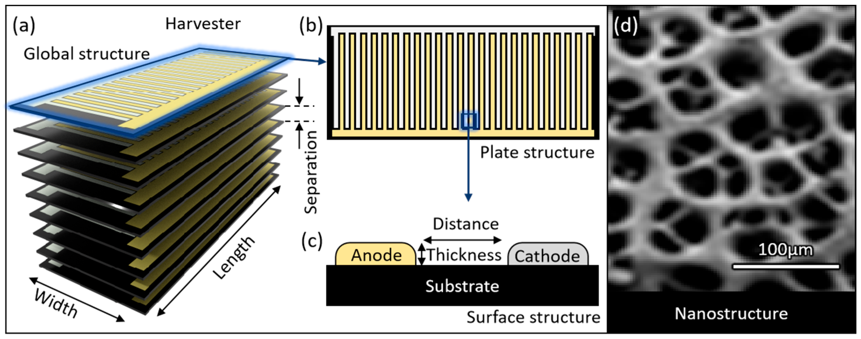 Prosthesis 07 00136 g004