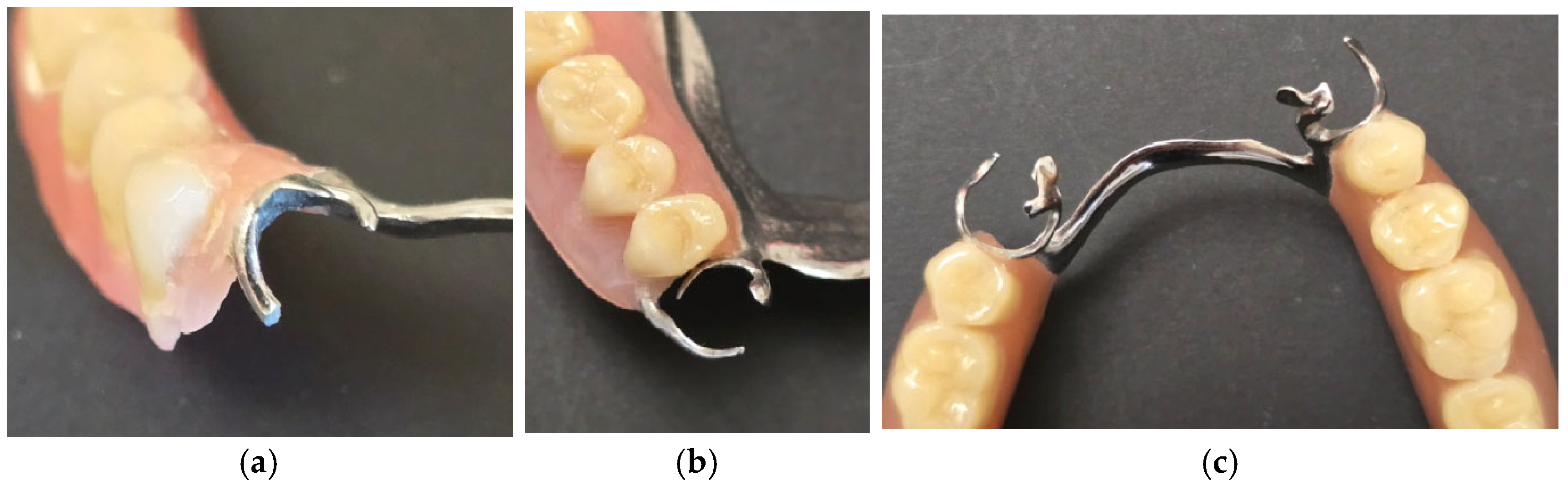 Prosthesis 07 00137 g002