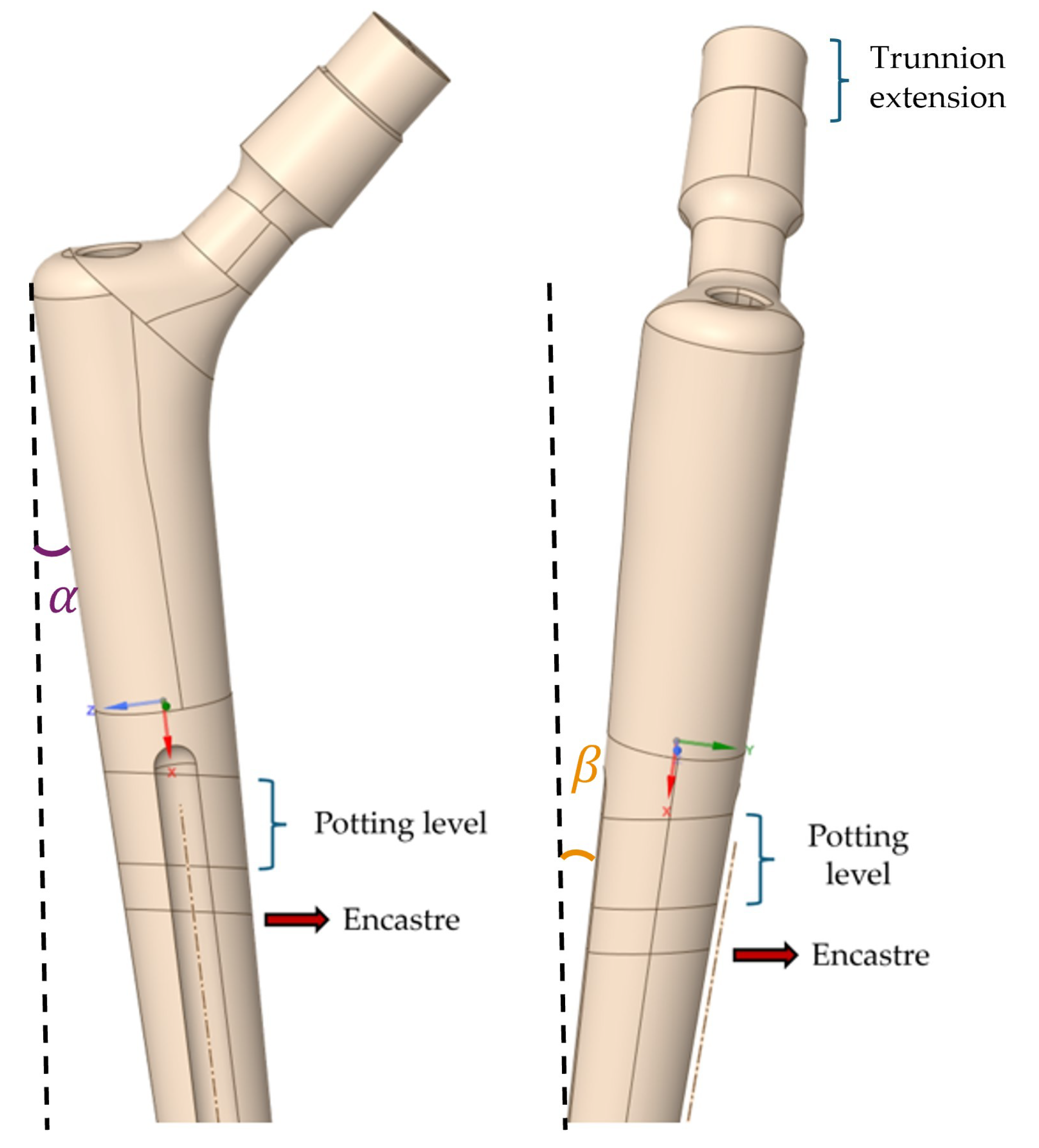 Prosthesis 07 00144 g002
