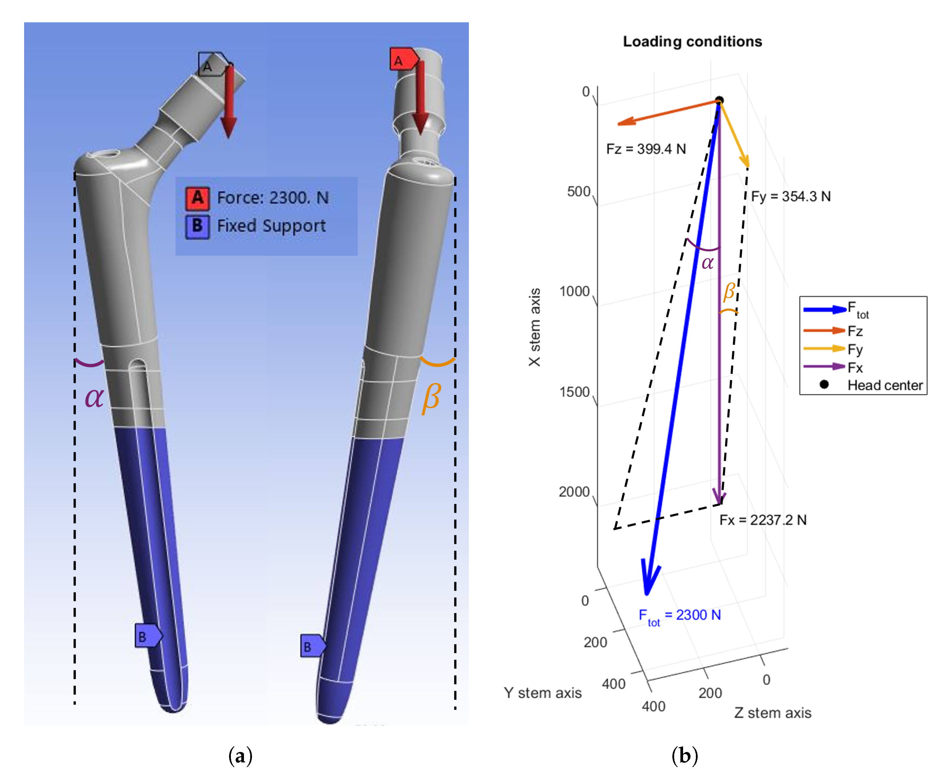 Prosthesis 07 00144 g003
