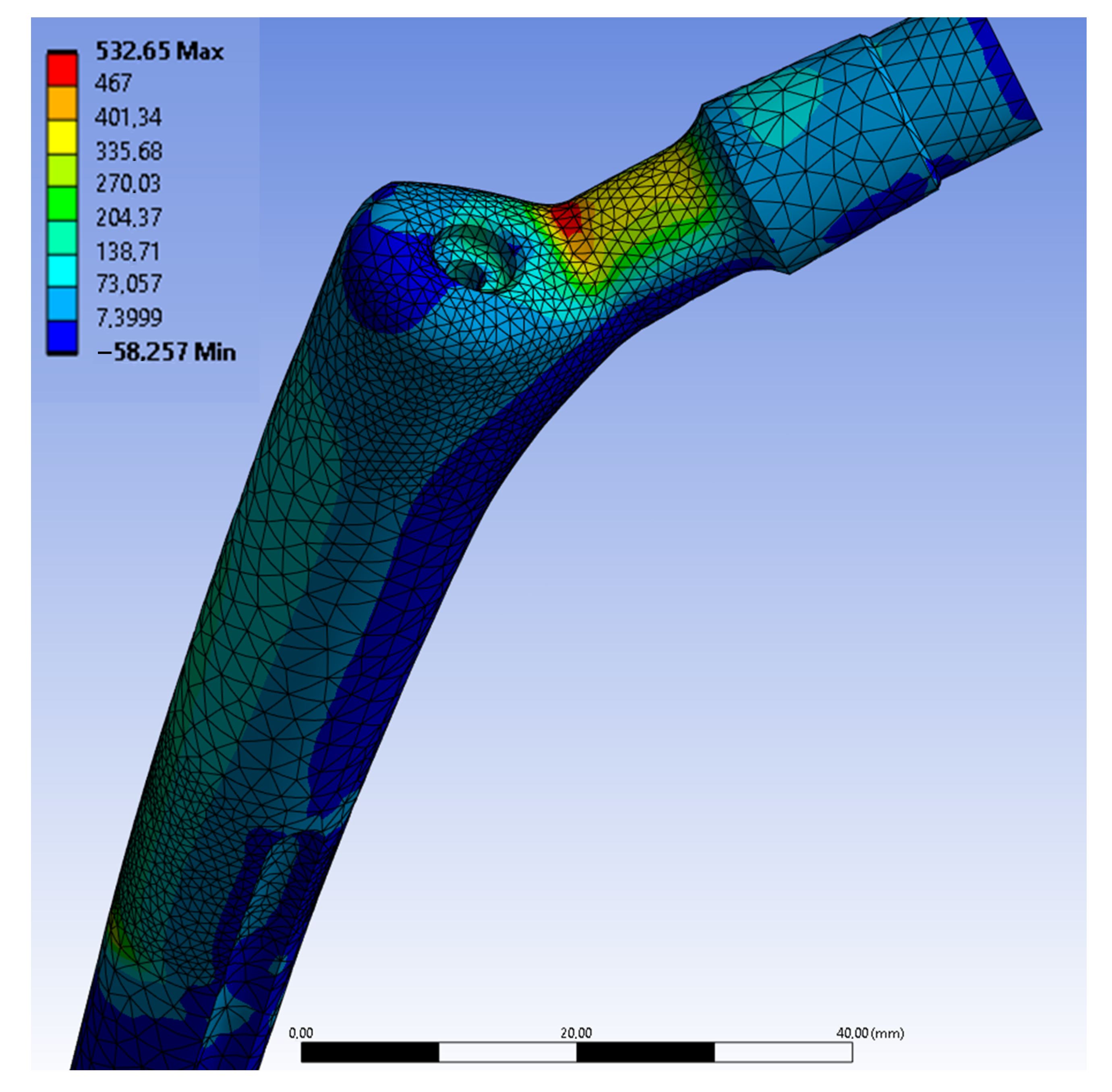 Prosthesis 07 00144 g004