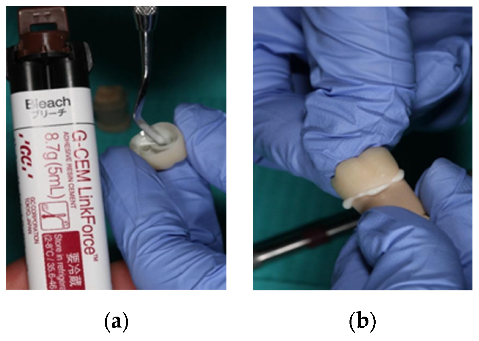 Prosthesis 07 00147 g002