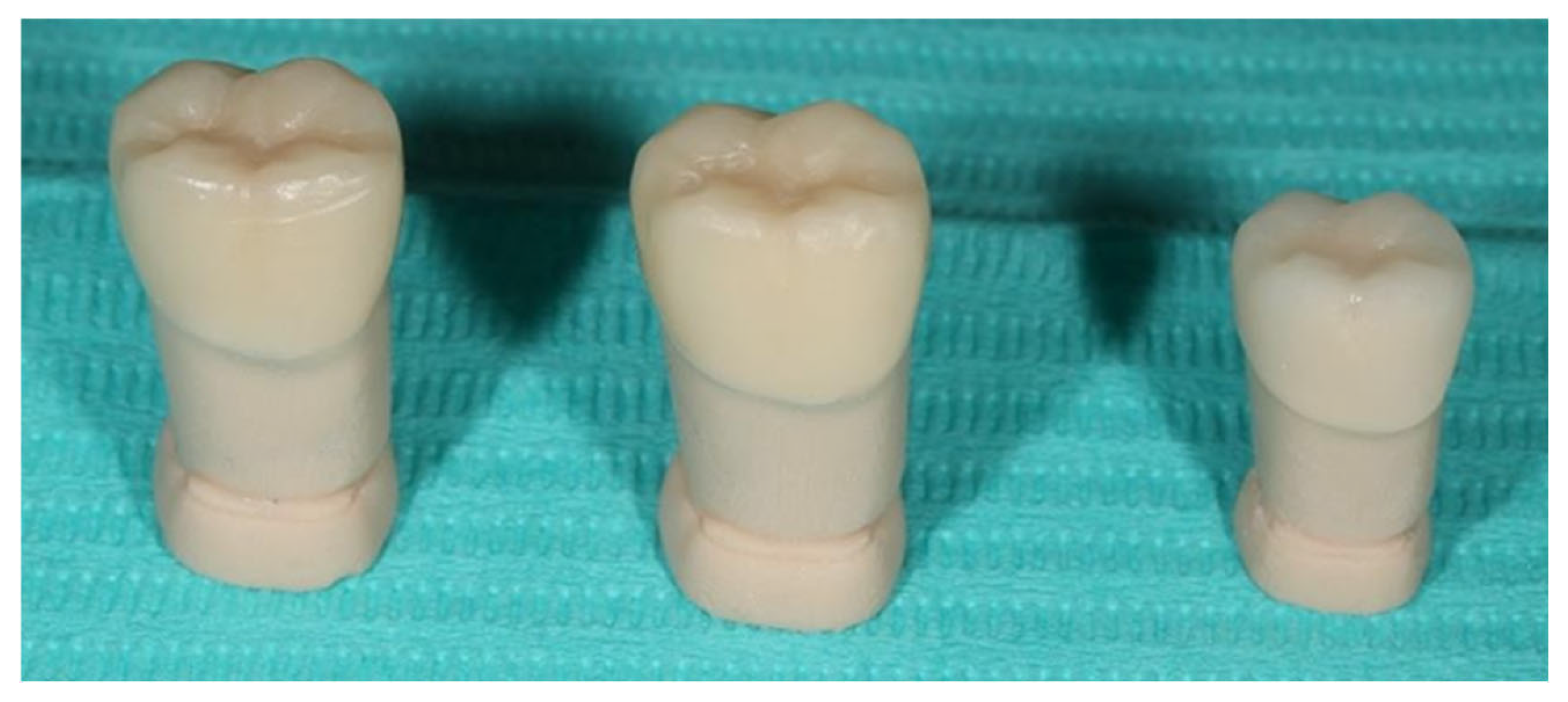 Prosthesis 07 00147 g003