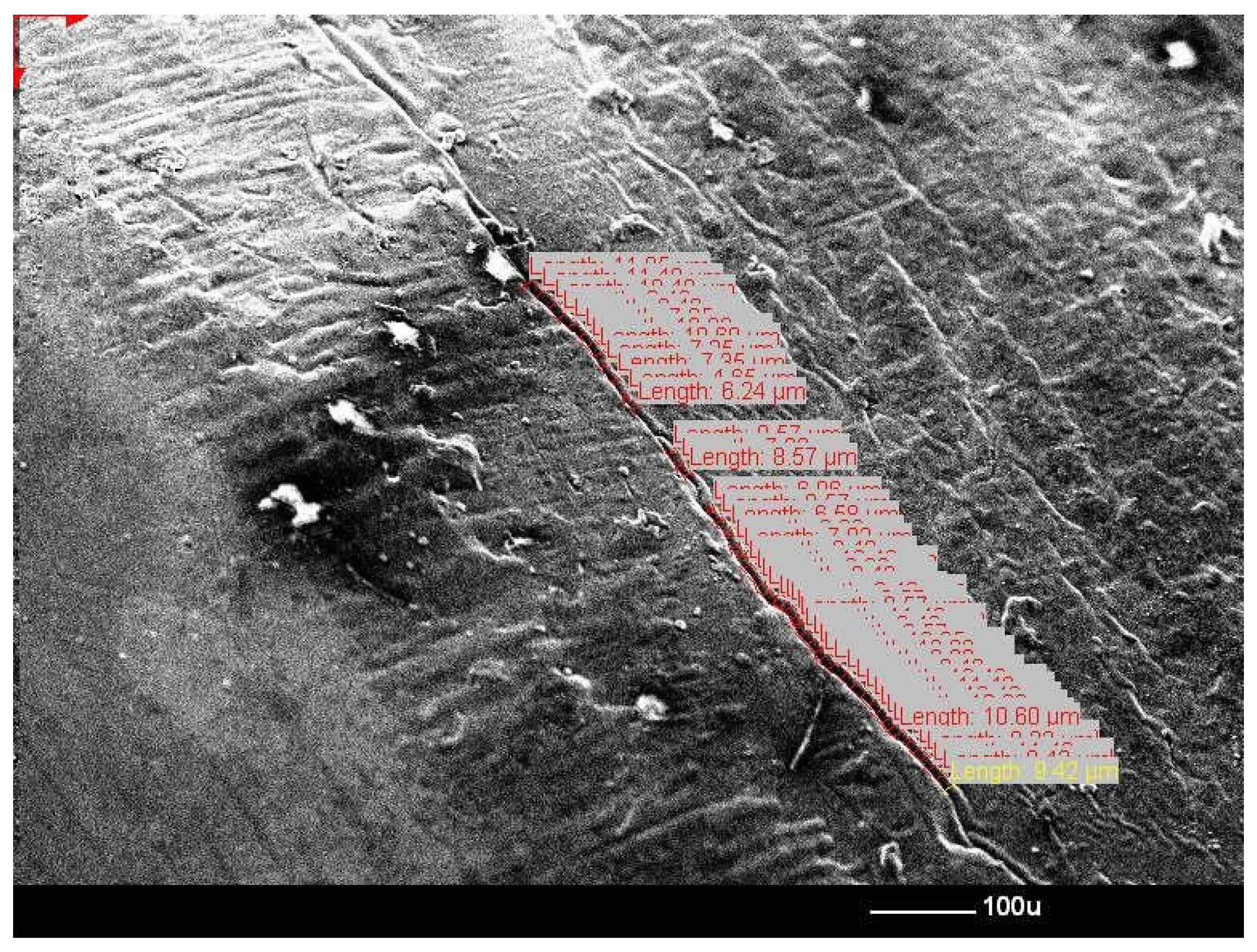 Prosthesis 07 00147 g004