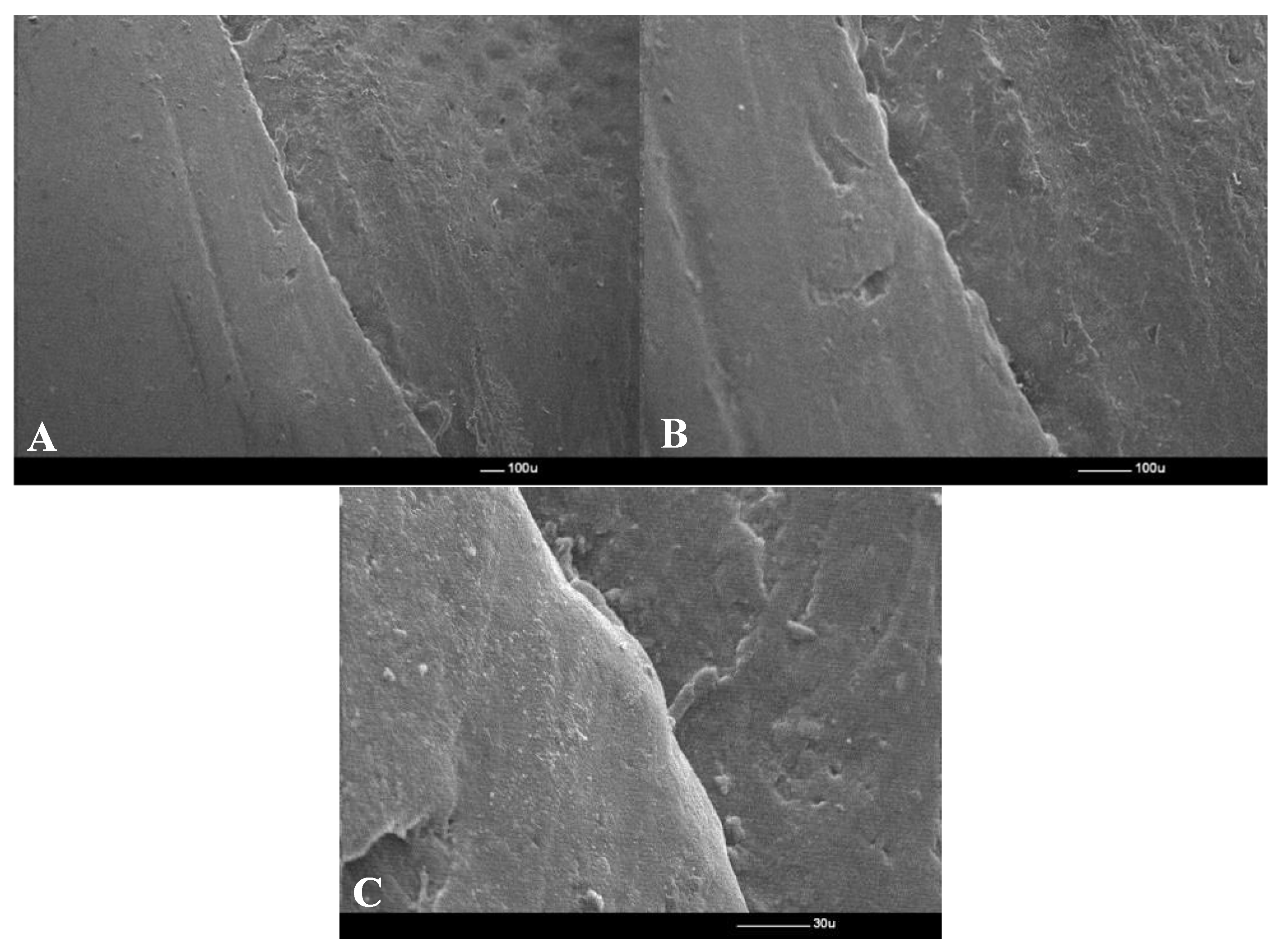 Prosthesis 07 00147 g006