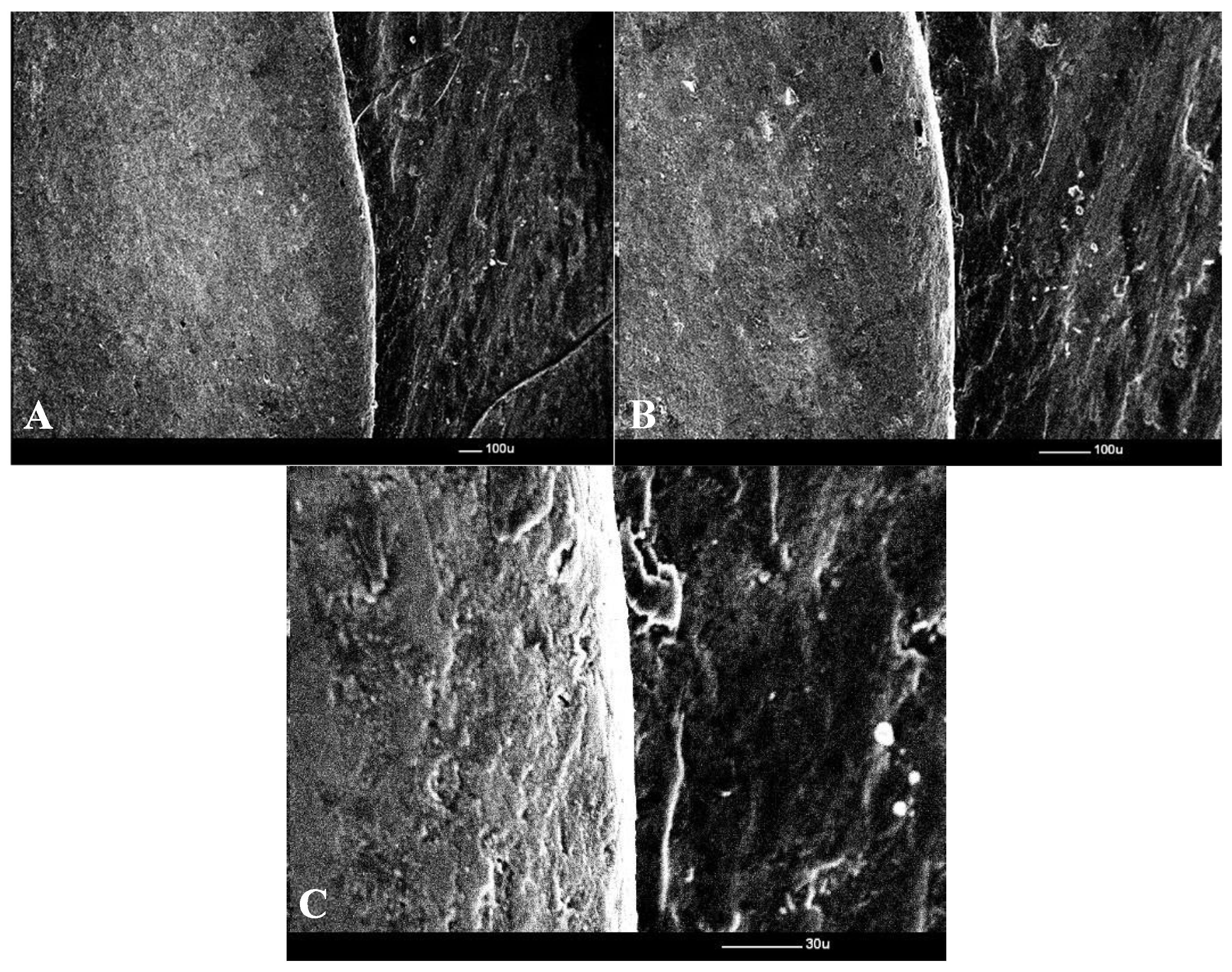 Prosthesis 07 00147 g007