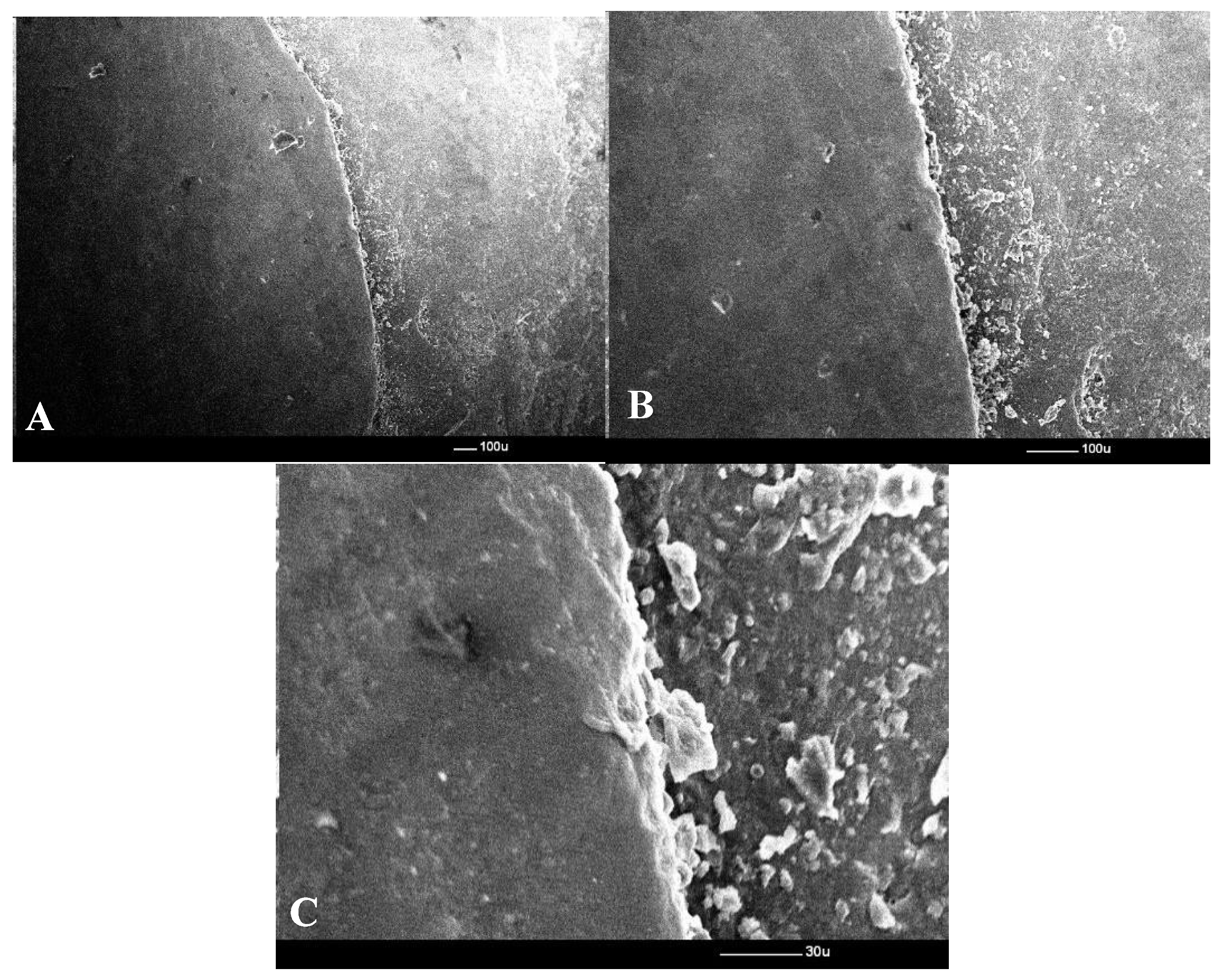 Prosthesis 07 00147 g008