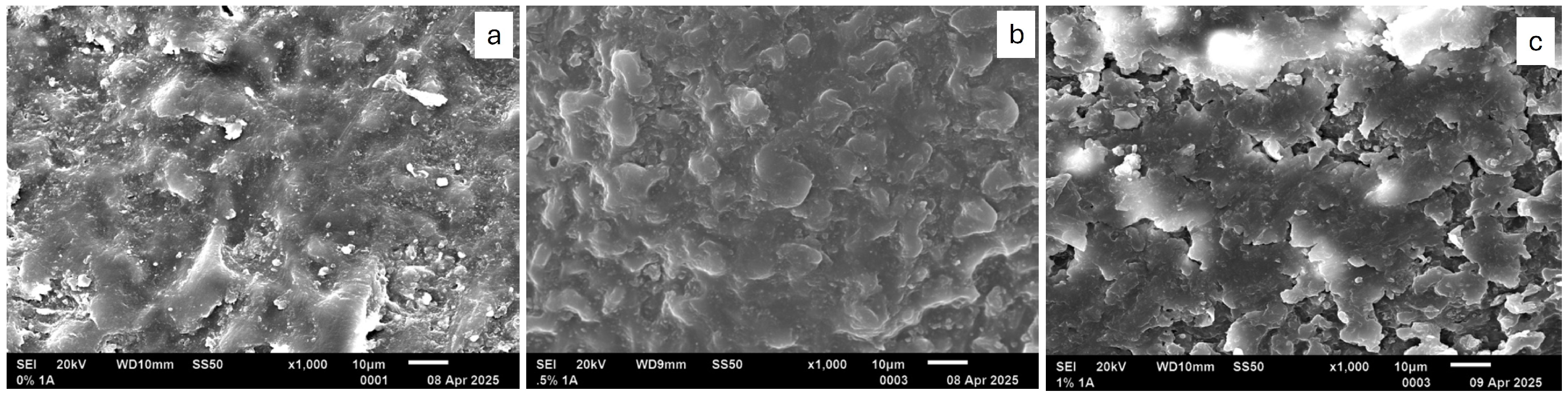 Prosthesis 07 00148 g004