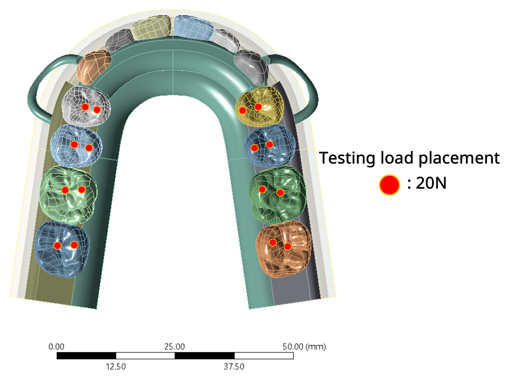 Prosthesis 07 00150 g002 Prosthesis 07 00150 g002
