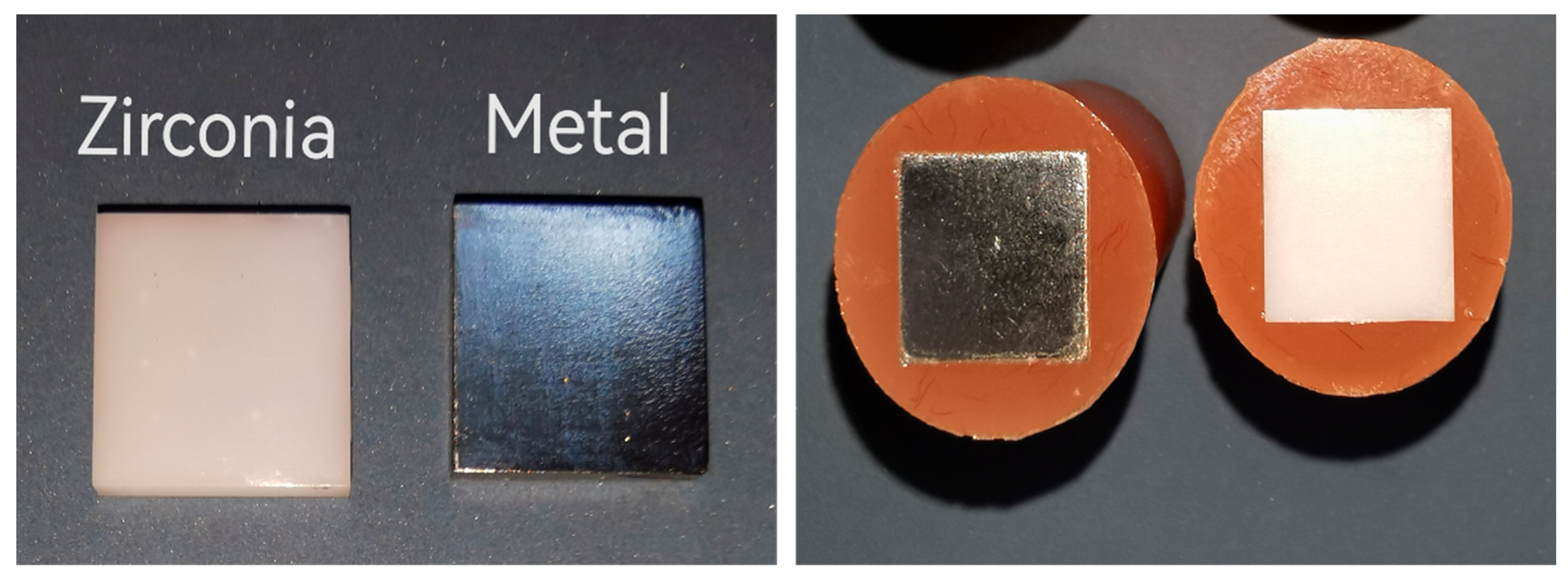 Prosthesis 07 00151 g002