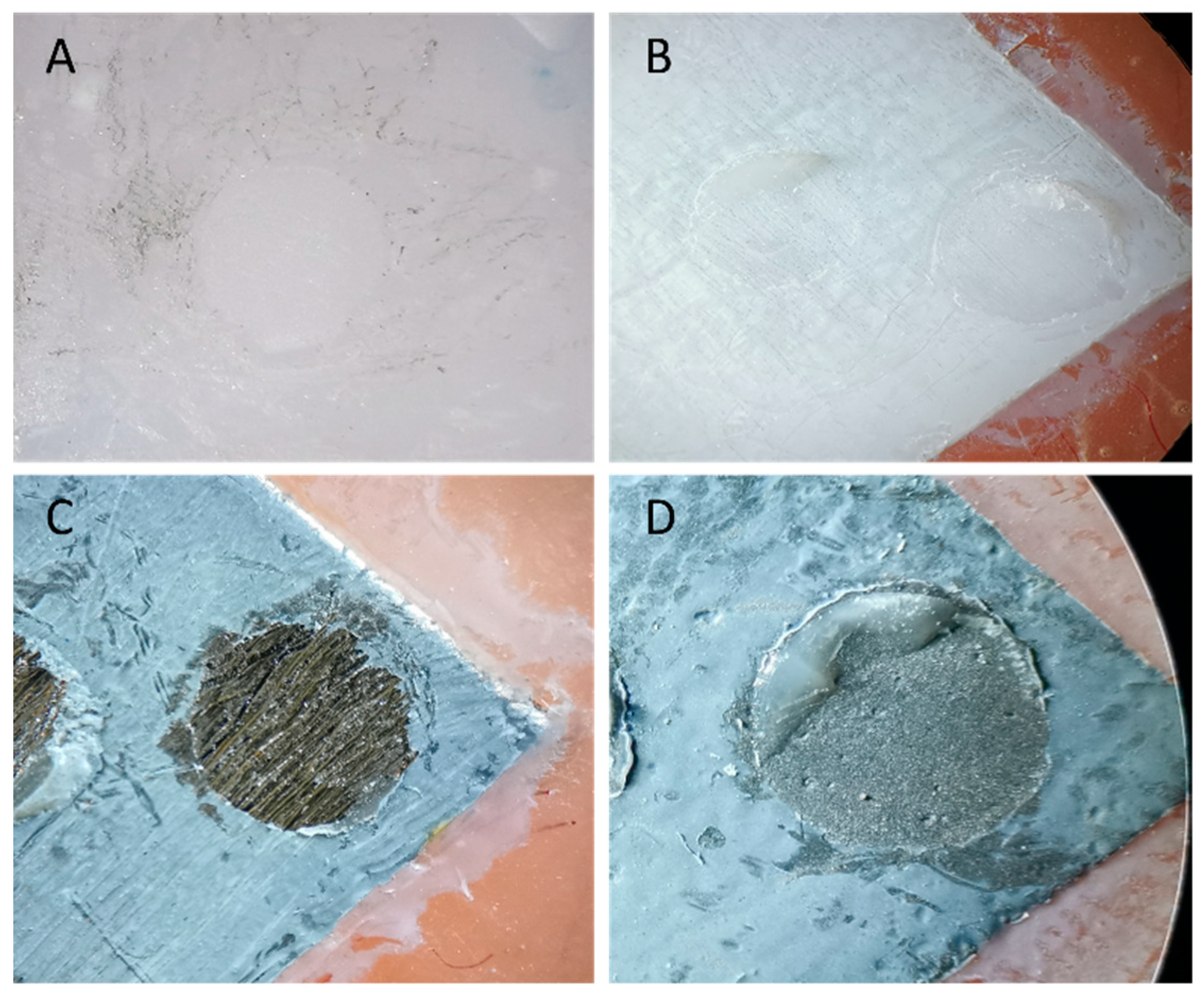 Prosthesis 07 00151 g007
