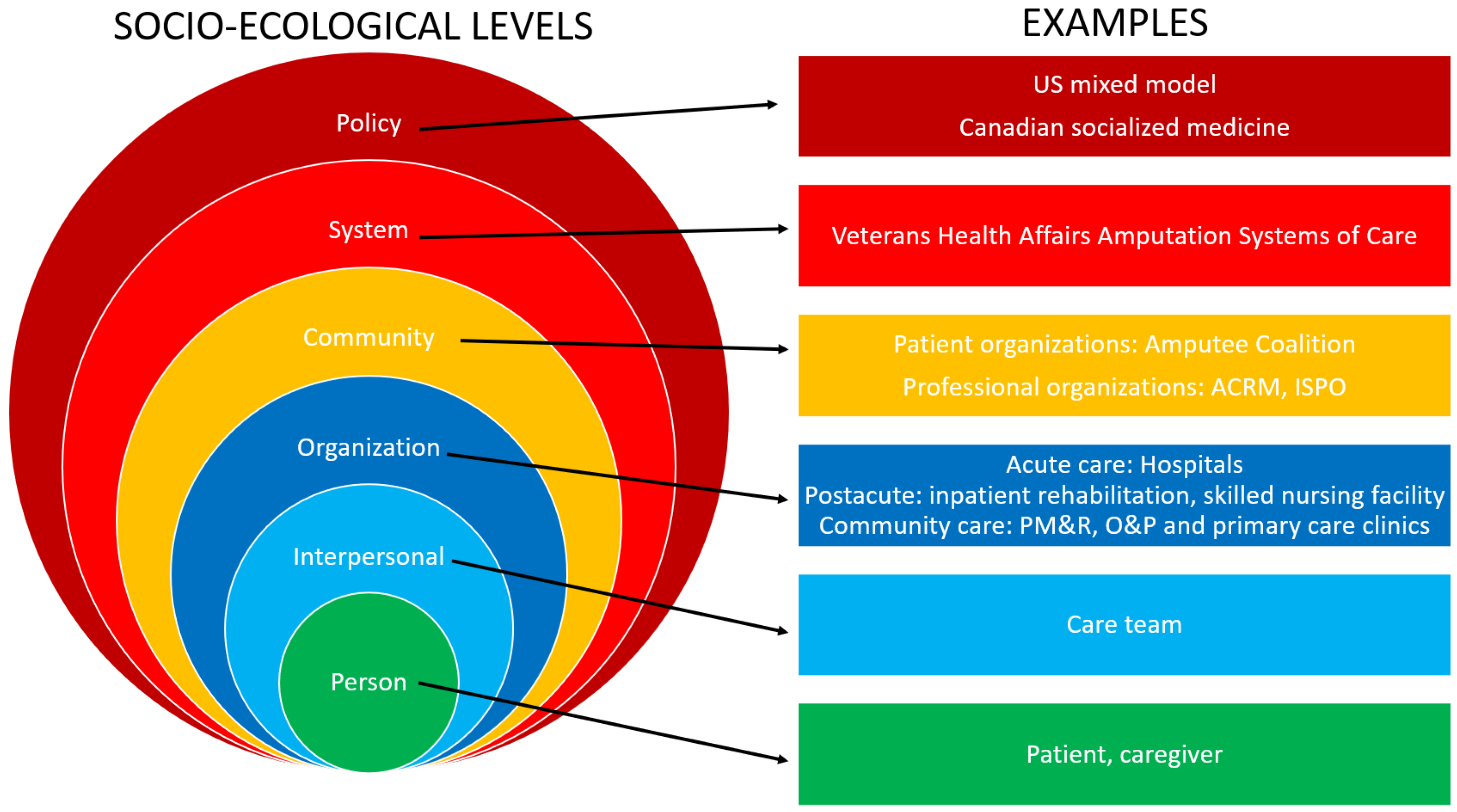 Prosthesis 07 00153 g006