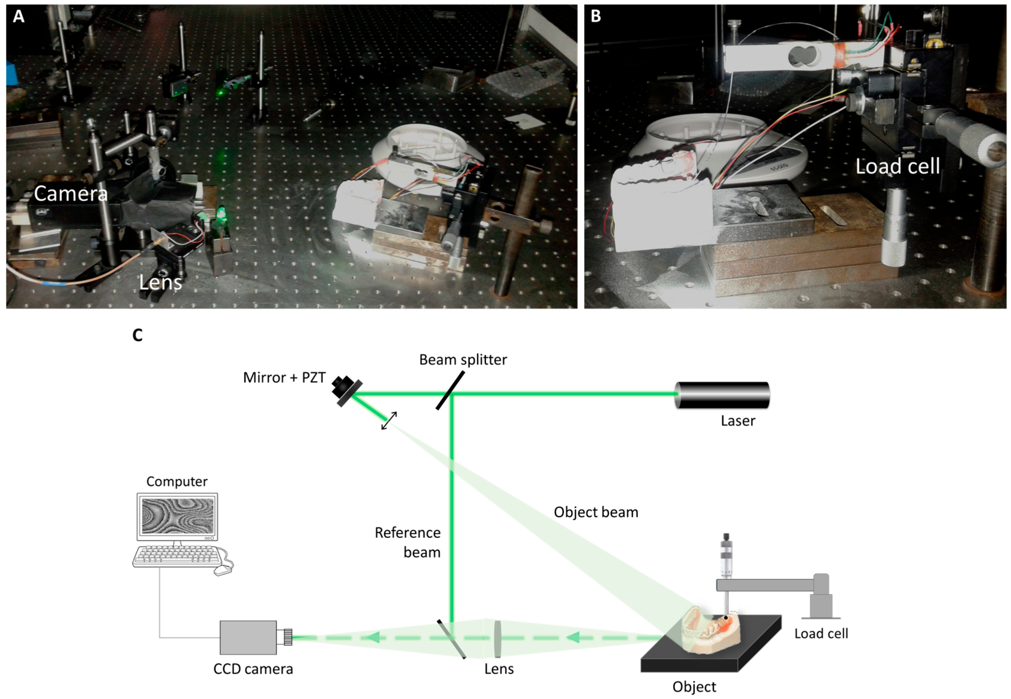 Prosthesis 07 00157 g004 Prosthesis 07 00157 g004