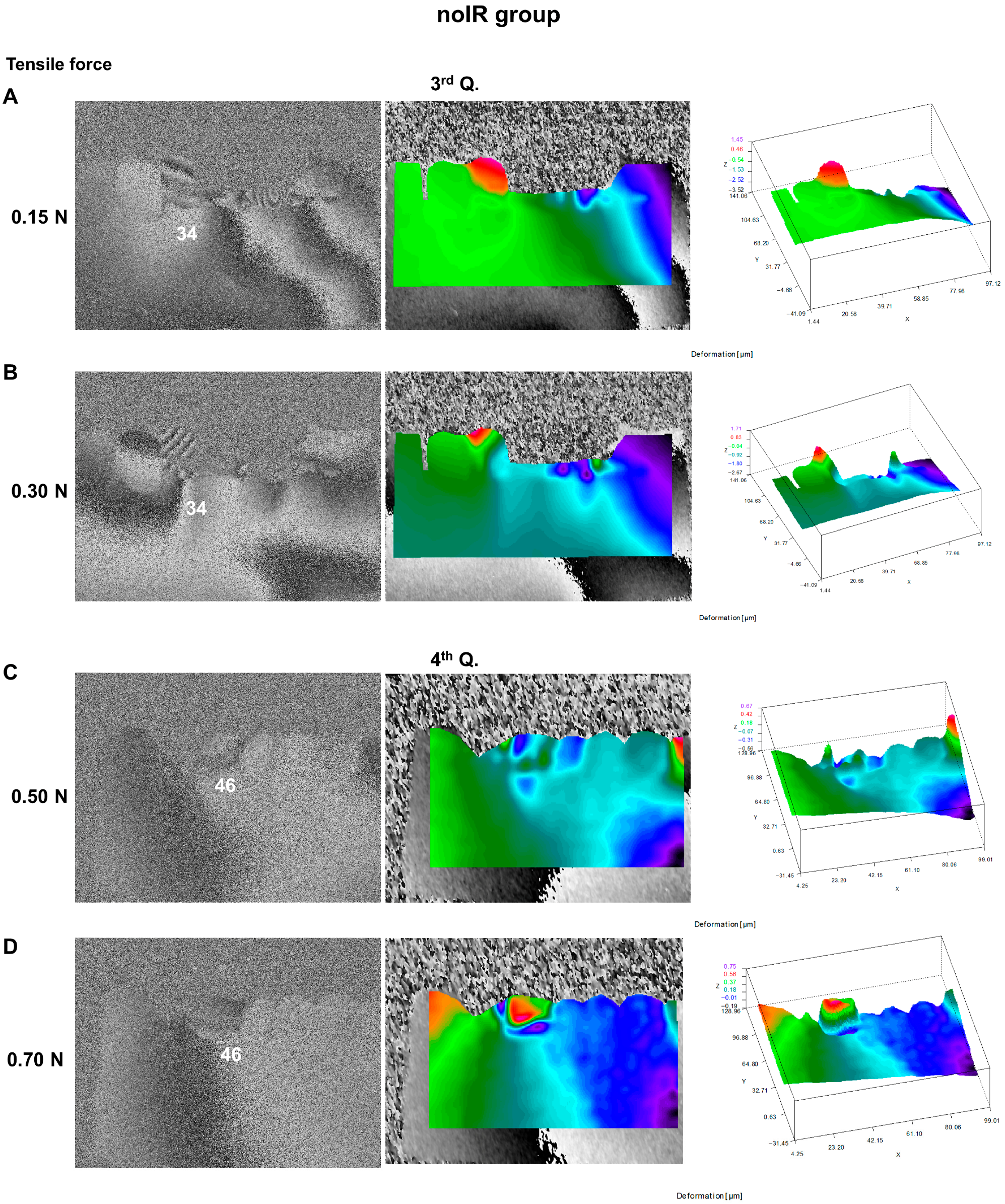 Prosthesis 07 00157 g006 Prosthesis 07 00157 g006
