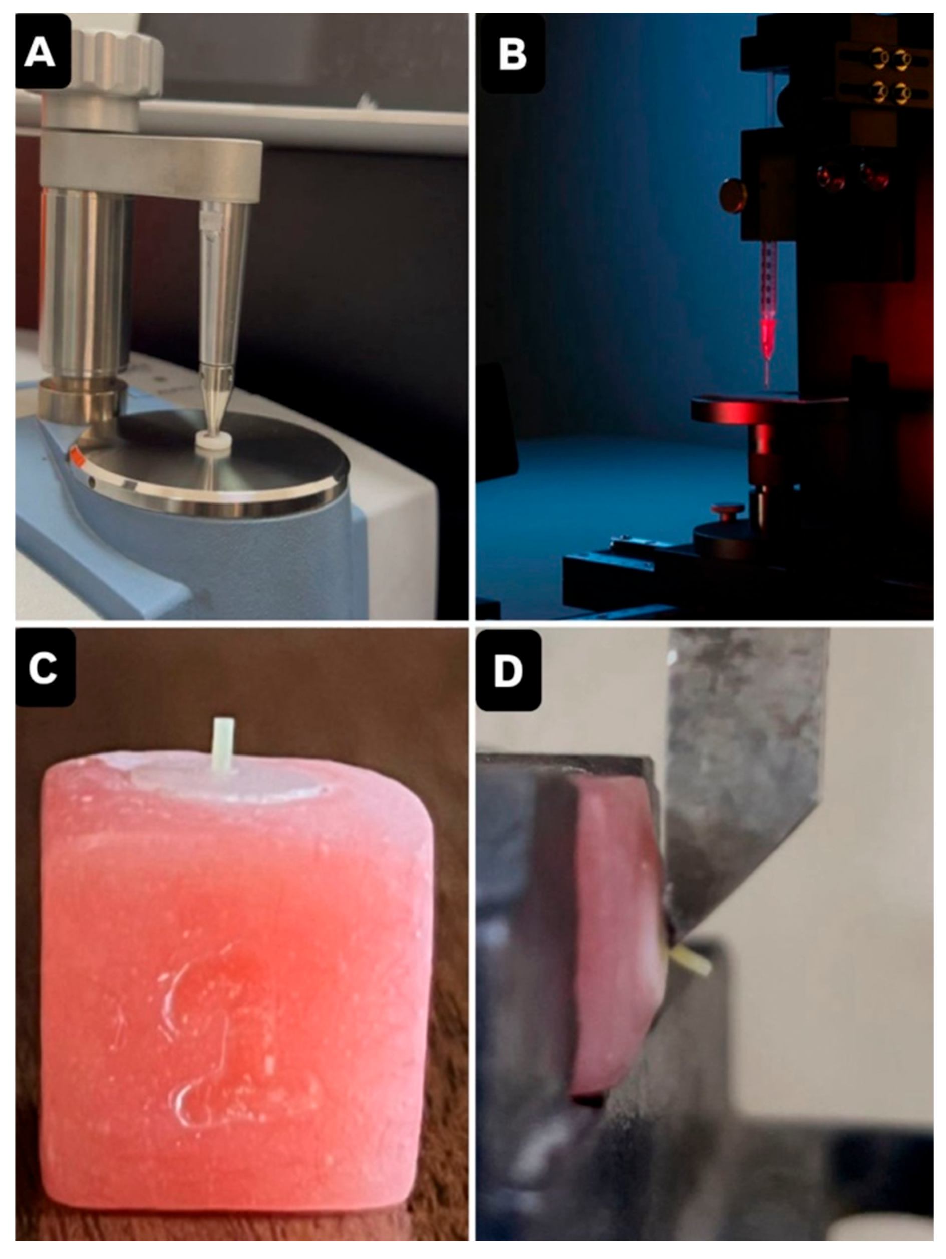 Prosthesis 07 00158 g001 Prosthesis 07 00158 g001