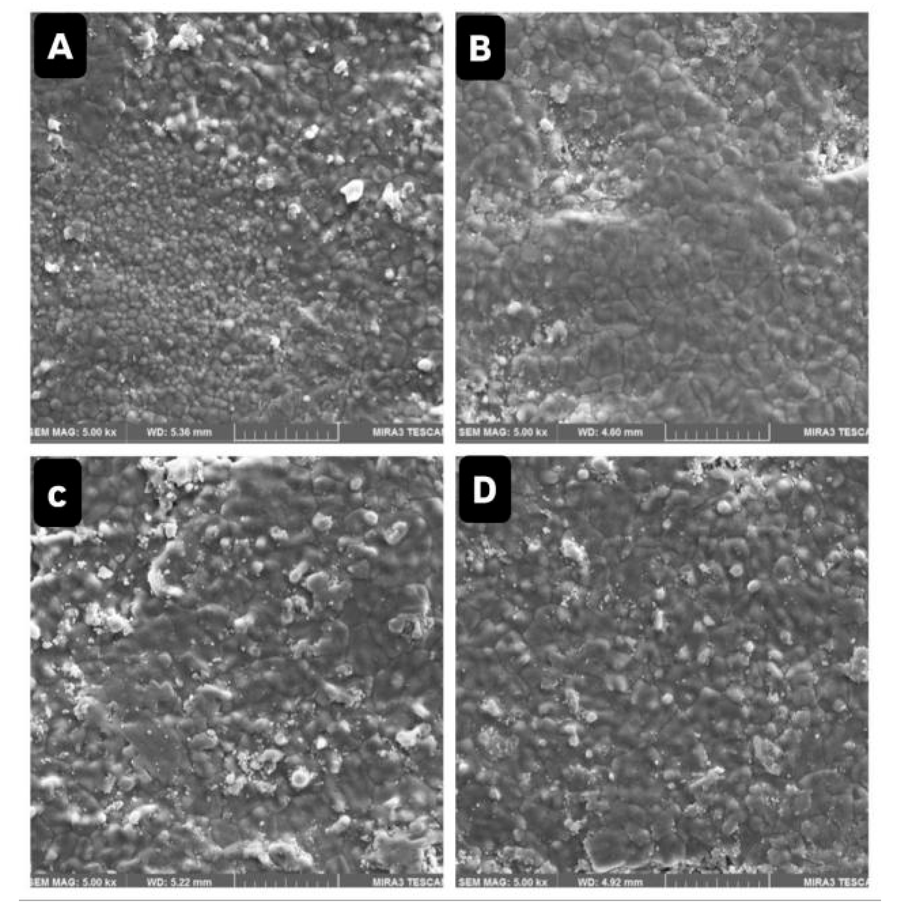 Prosthesis 07 00158 g003 Prosthesis 07 00158 g003