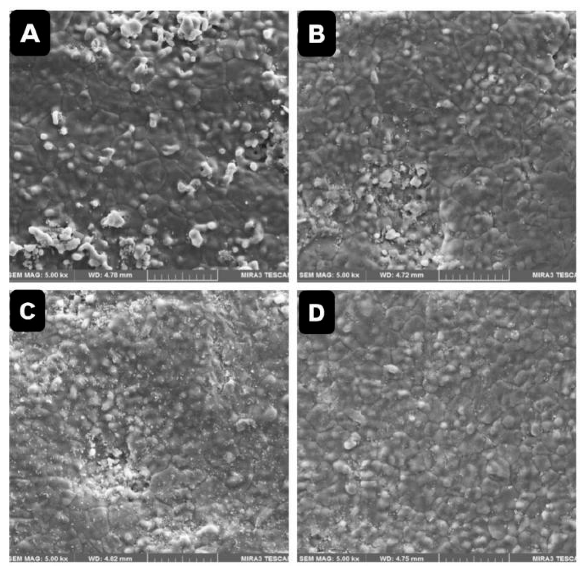 Prosthesis 07 00158 g004 Prosthesis 07 00158 g004