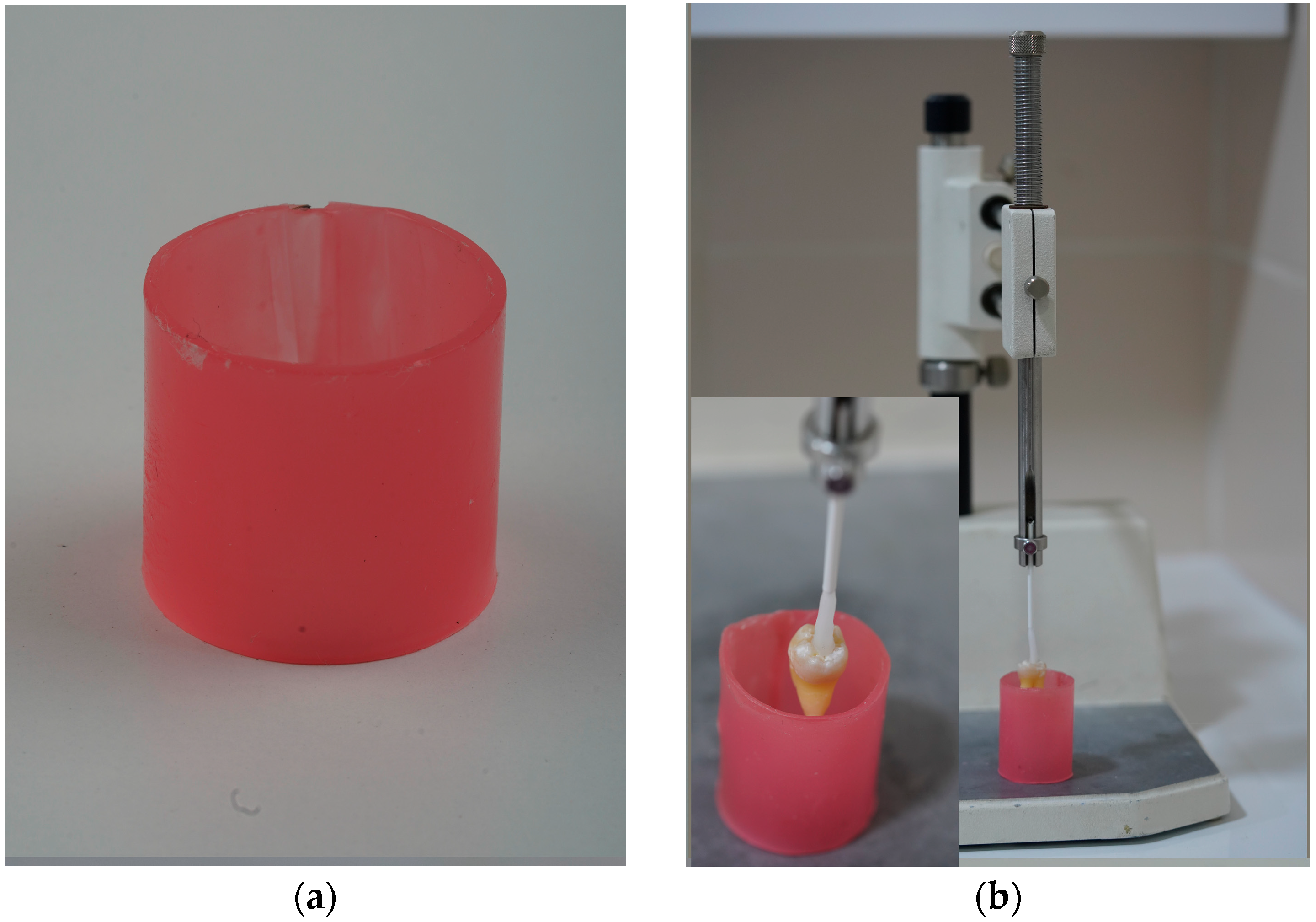 Prosthesis 07 00159 g002a Prosthesis 07 00159 g002a