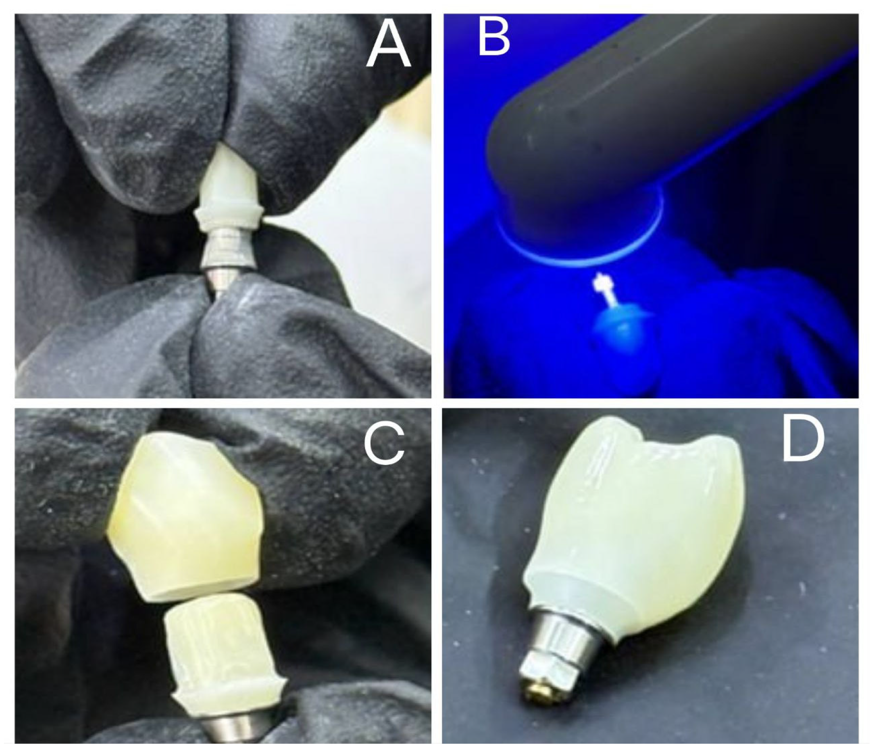Prosthesis 07 00161 g003