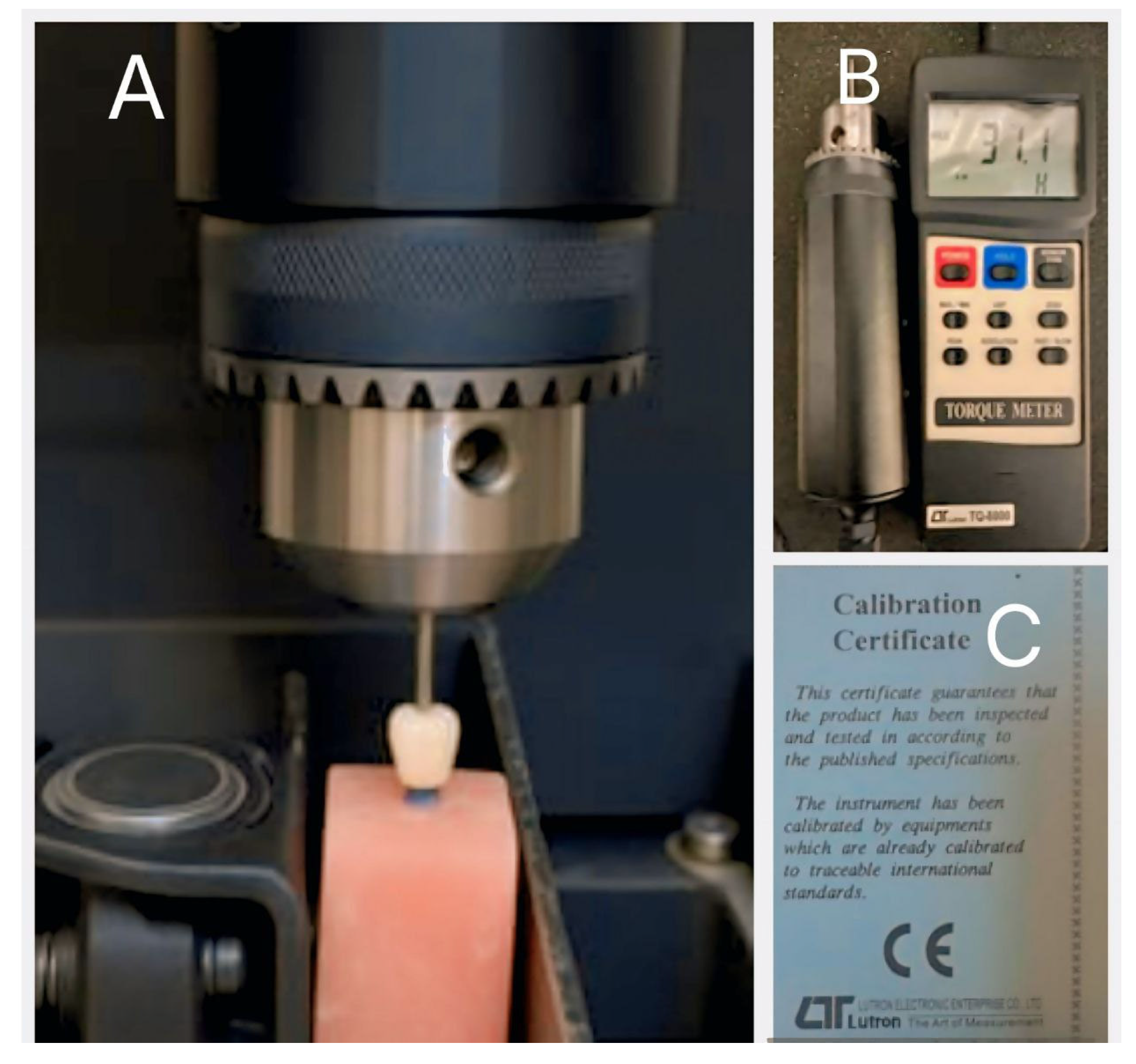 Prosthesis 07 00161 g004
