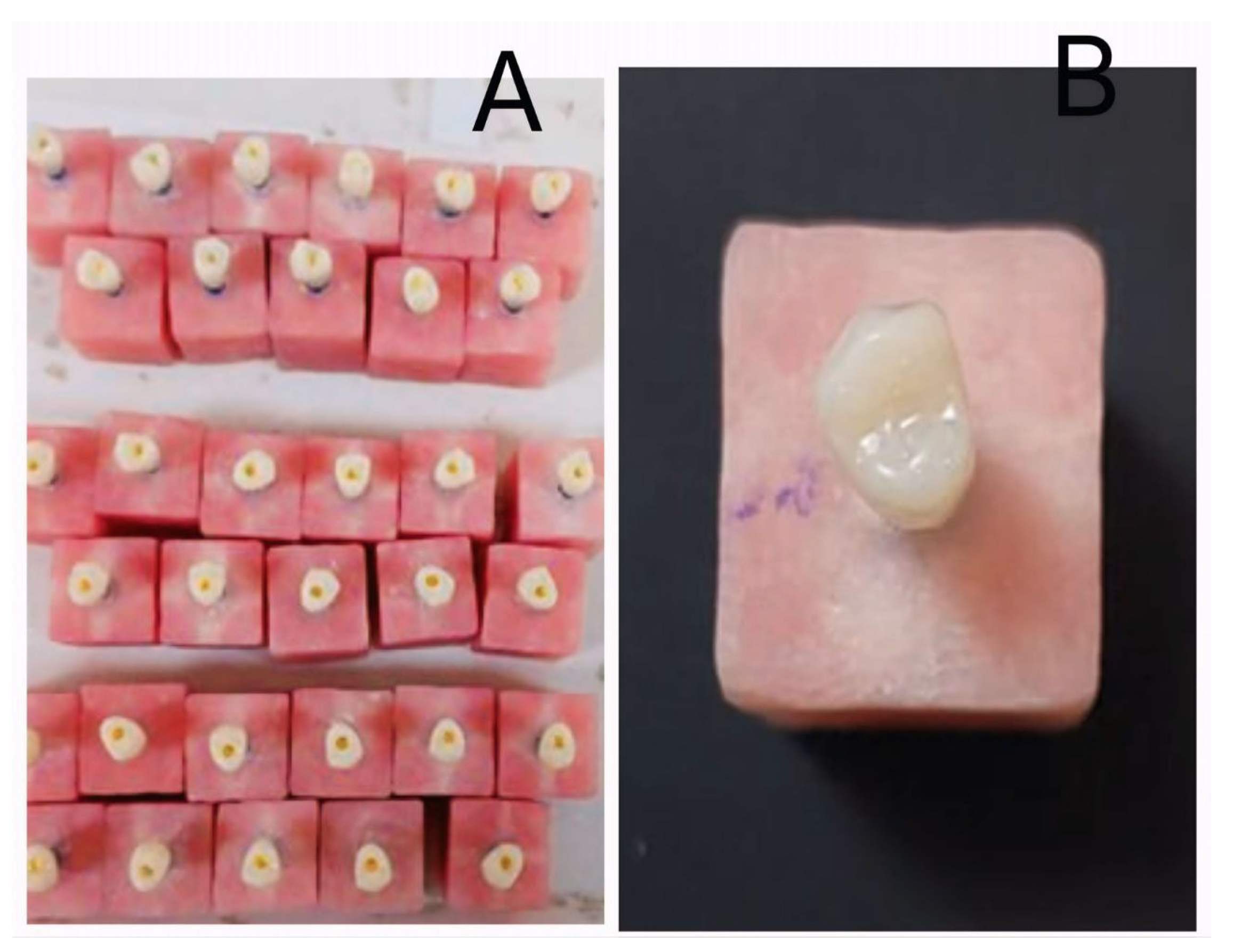 Prosthesis 07 00161 g005