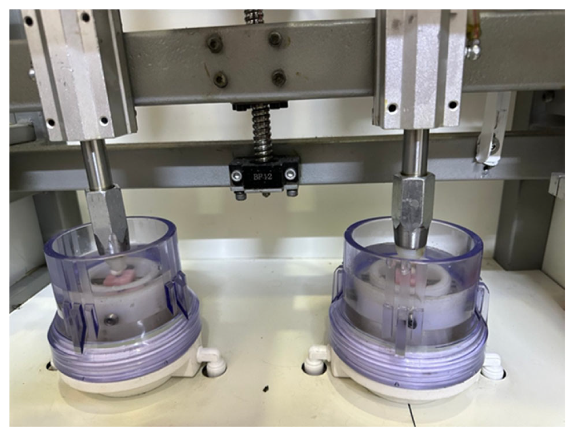 Prosthesis 07 00161 g006