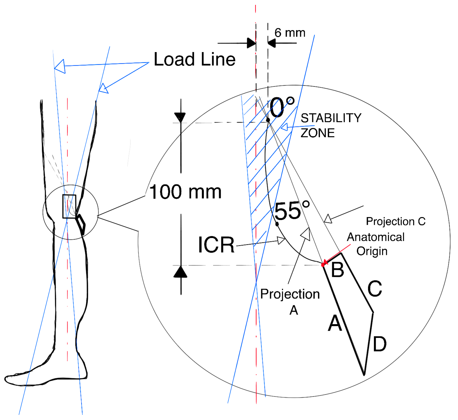 Prosthesis 07 00163 g003