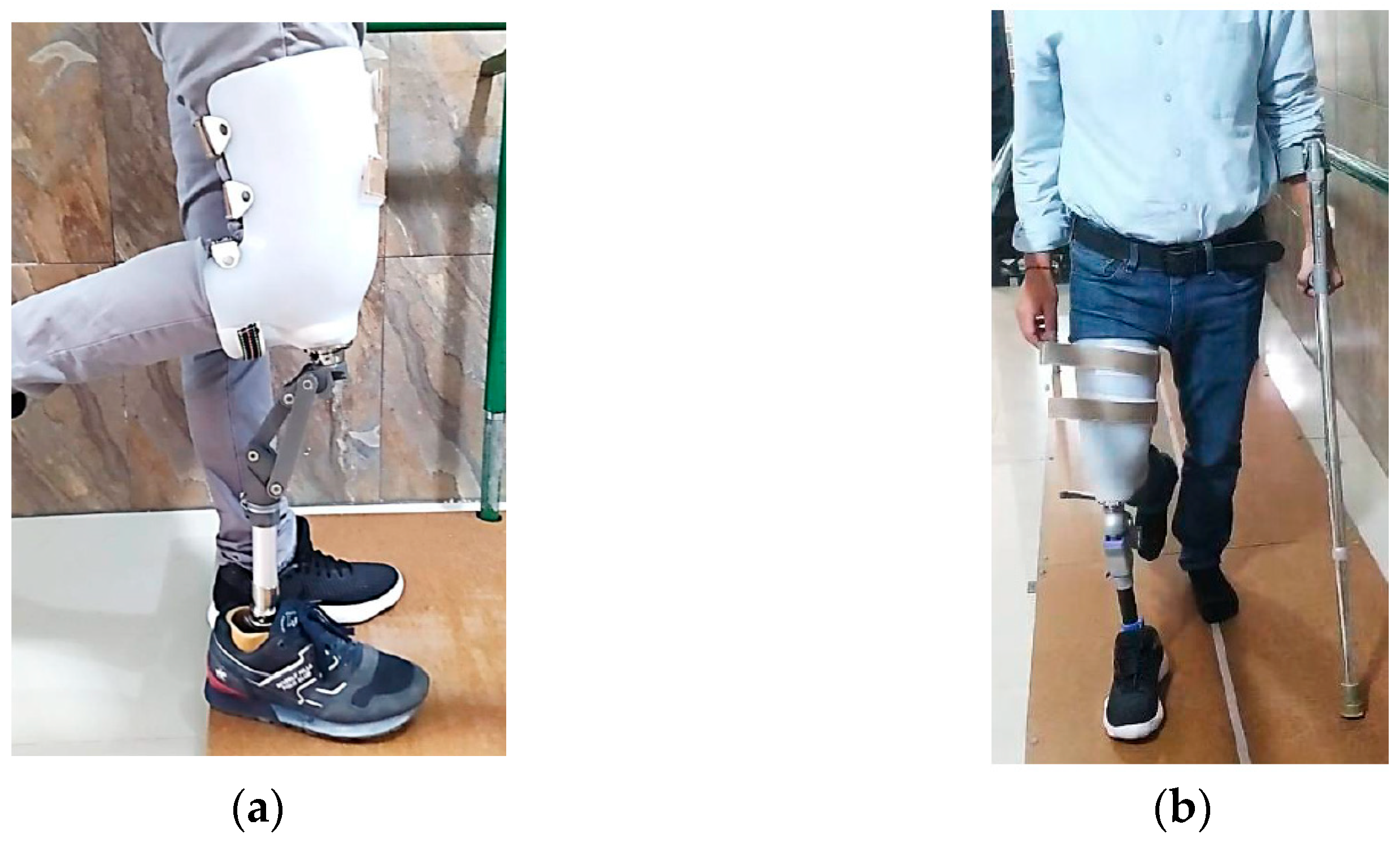 Prosthesis 07 00163 g010
