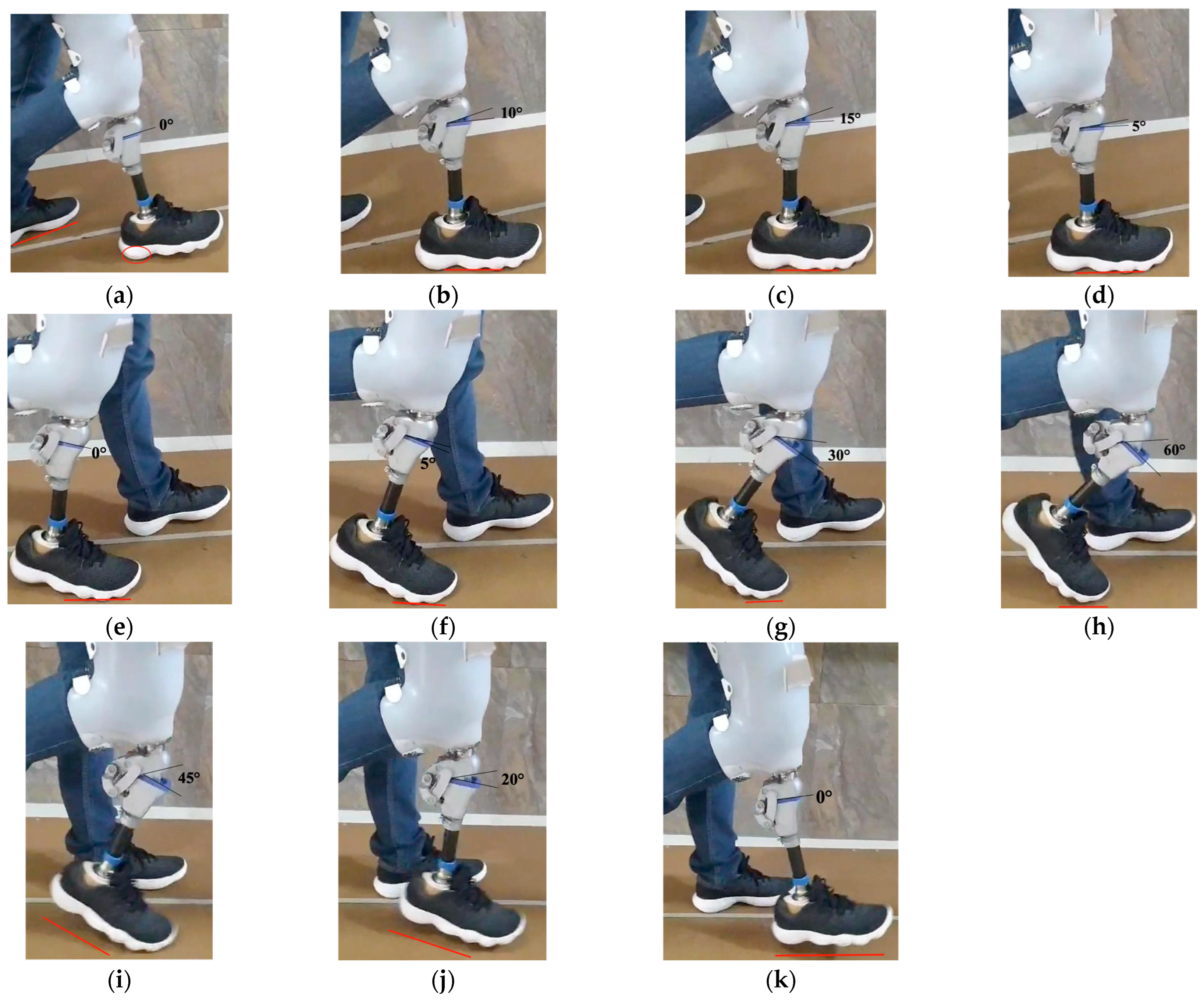 Prosthesis 07 00163 g012