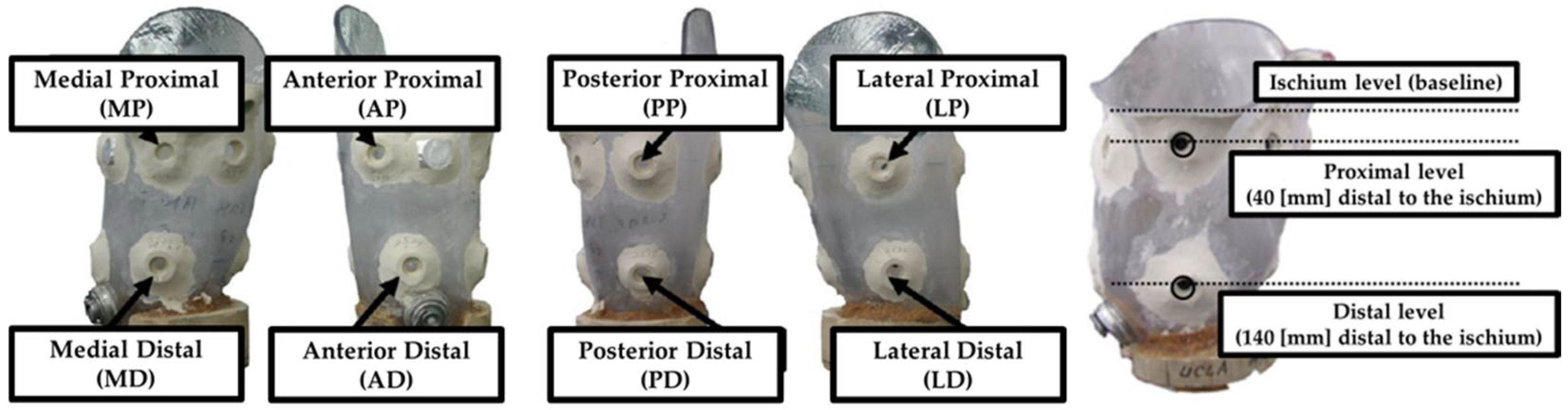 Prosthesis 08 00016 g002