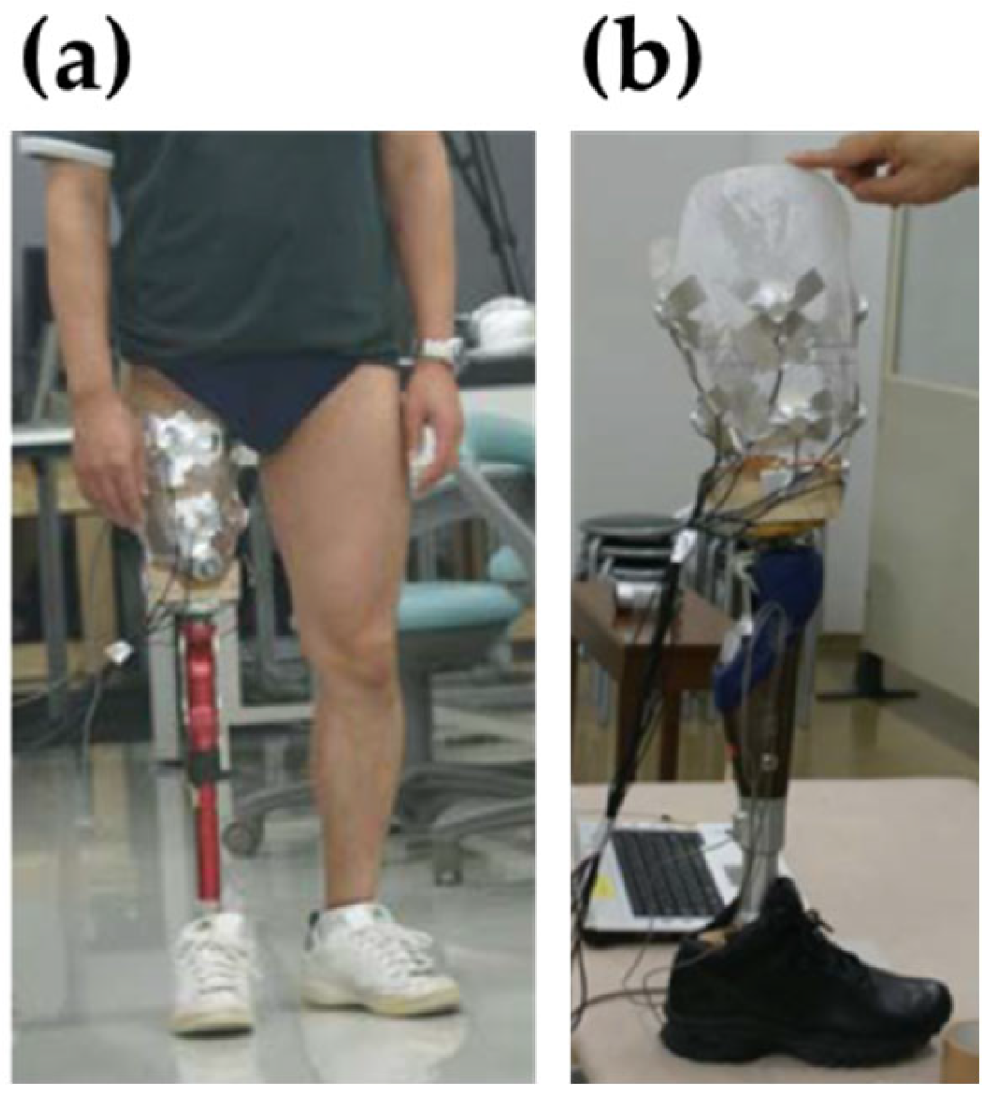 Prosthesis 08 00016 g003