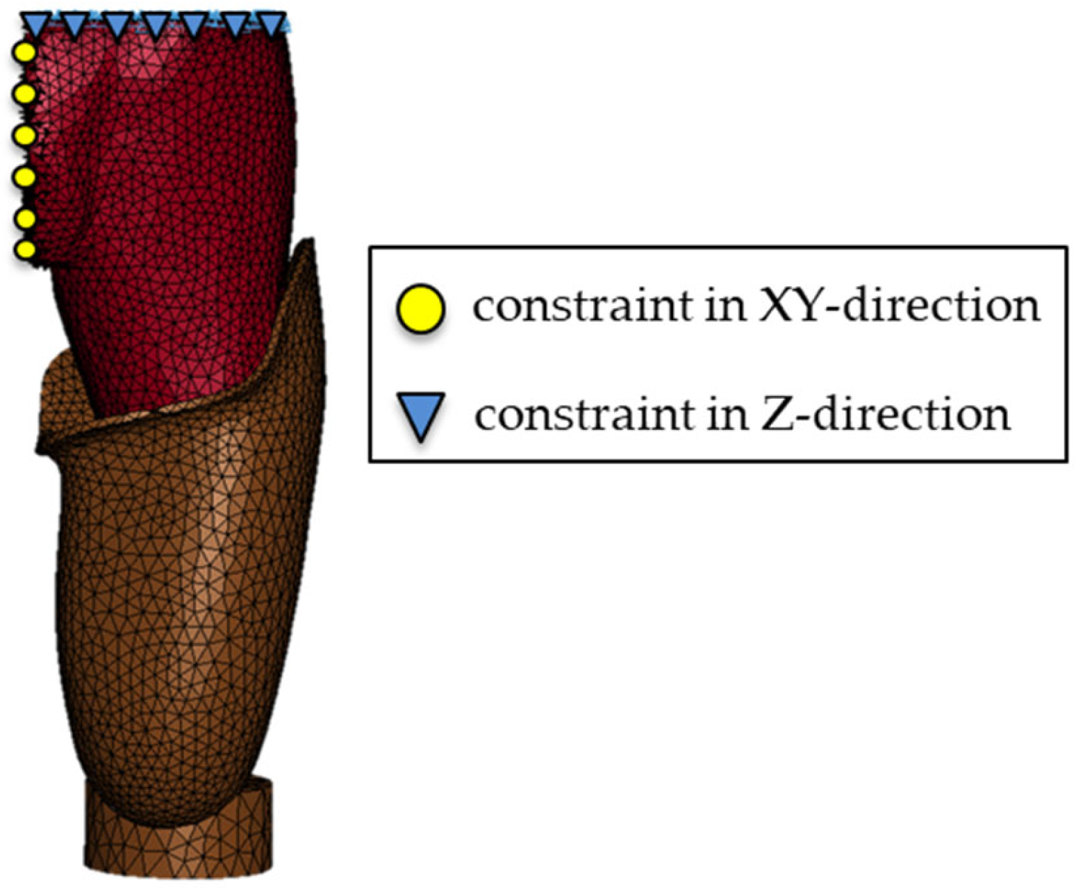 Prosthesis 08 00016 g005