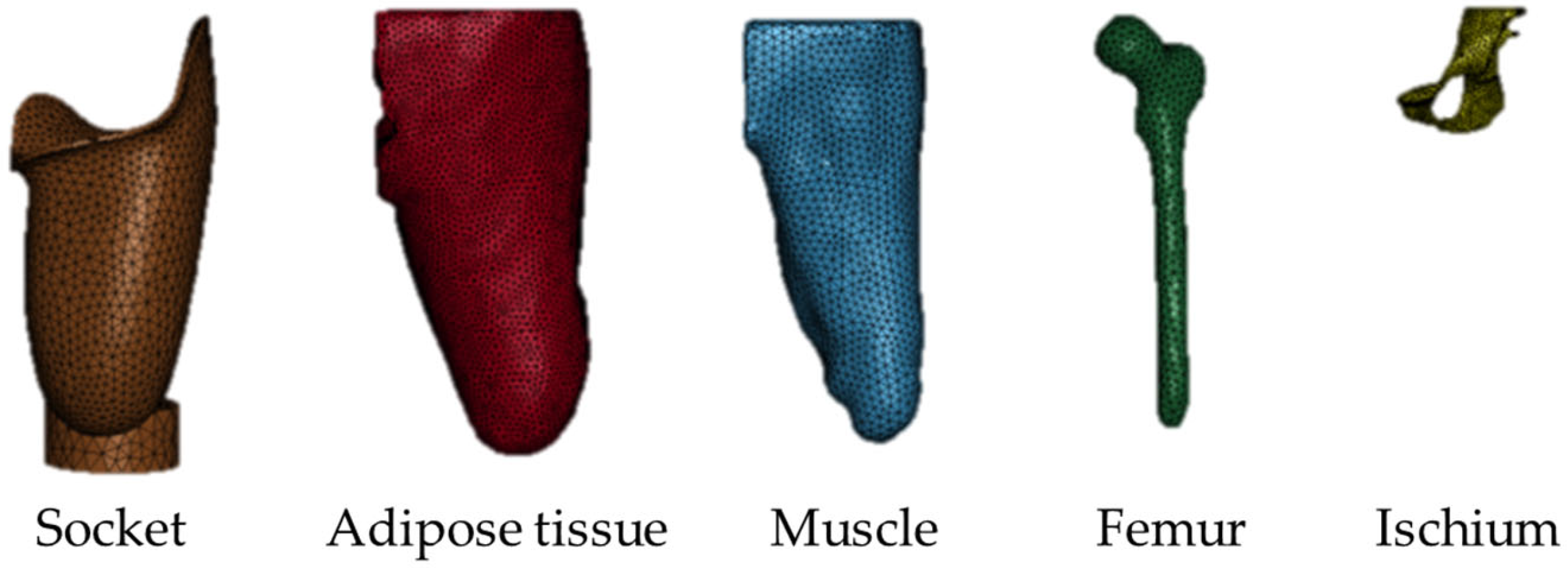 Prosthesis 08 00016 g007