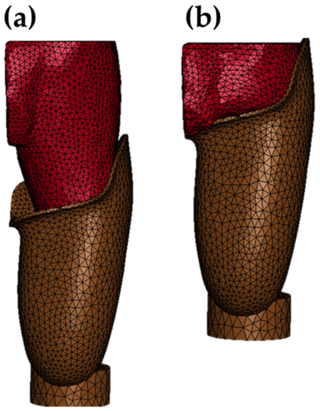 Prosthesis 08 00016 g008
