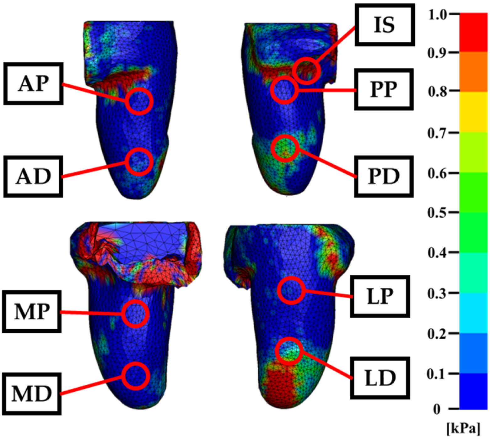 Prosthesis 08 00016 g009