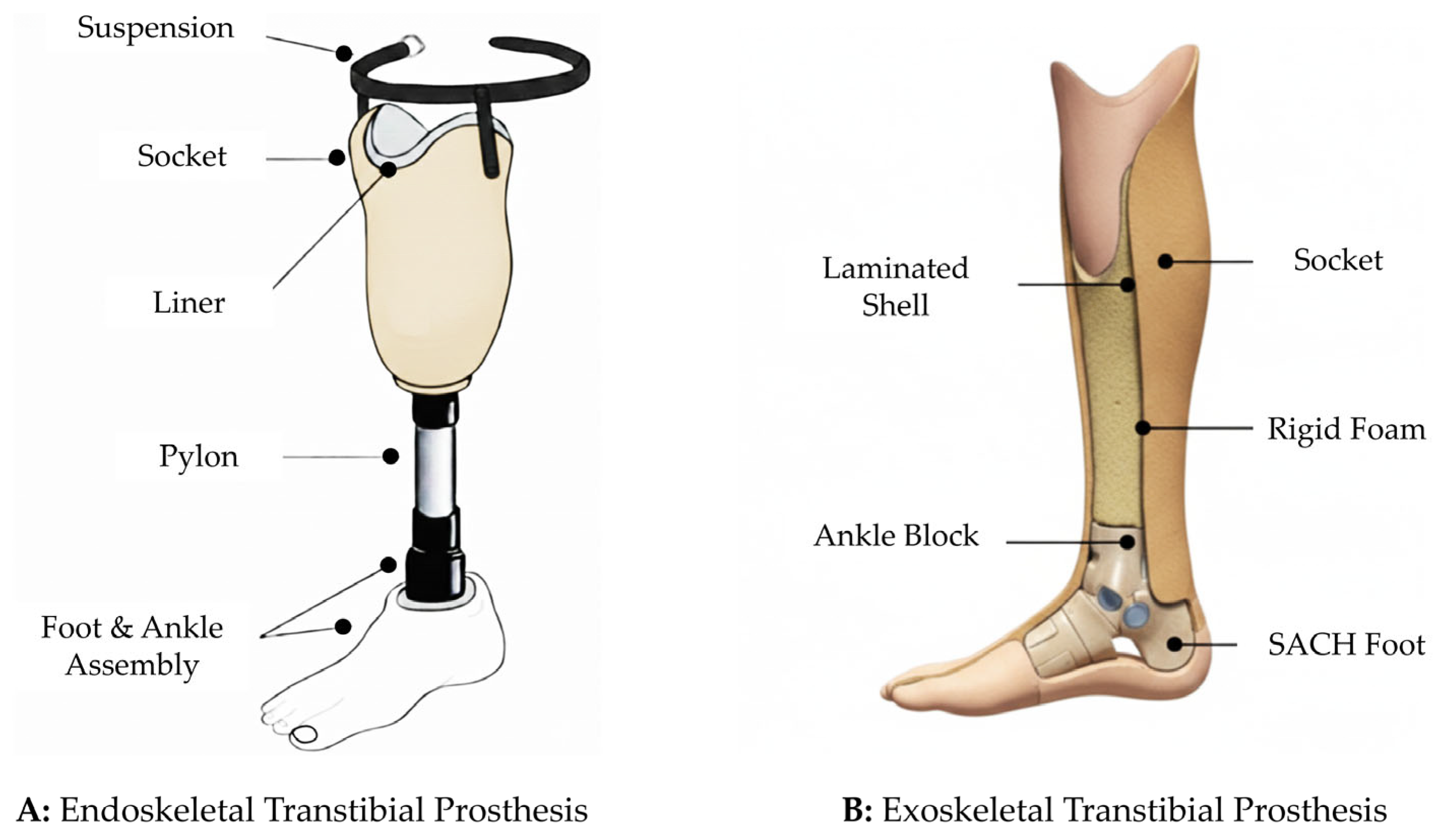 Prosthesis 08 00021 g001