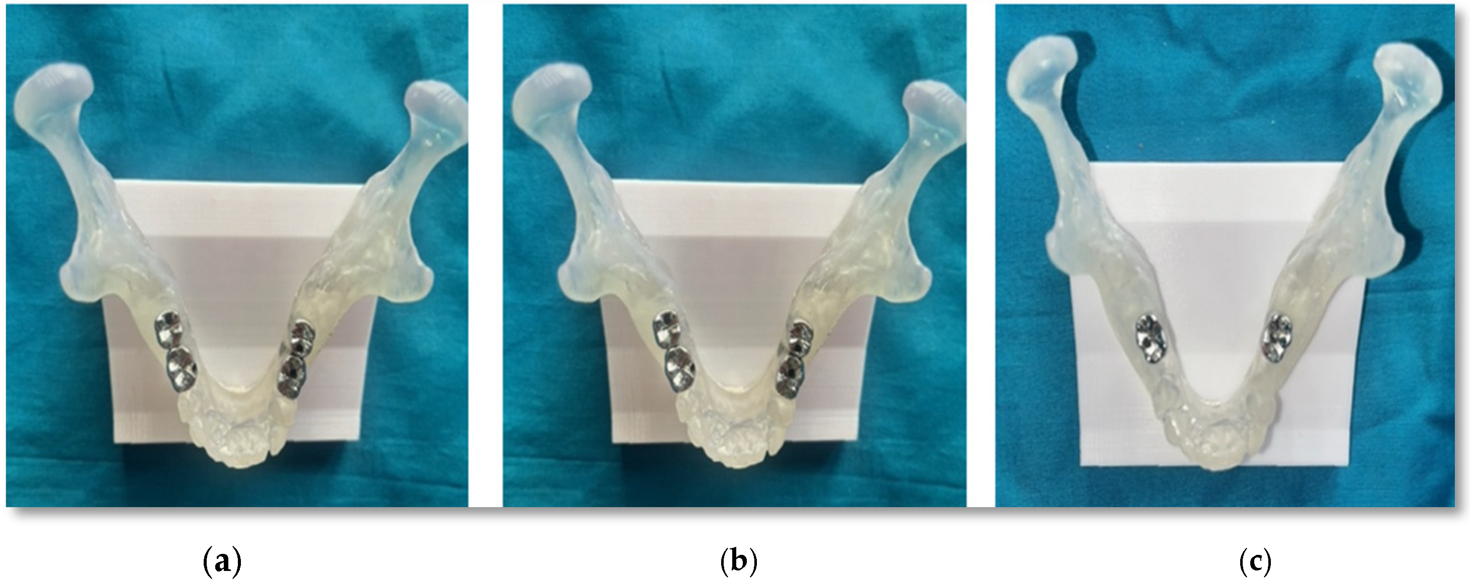 Prosthesis 08 00024 g001