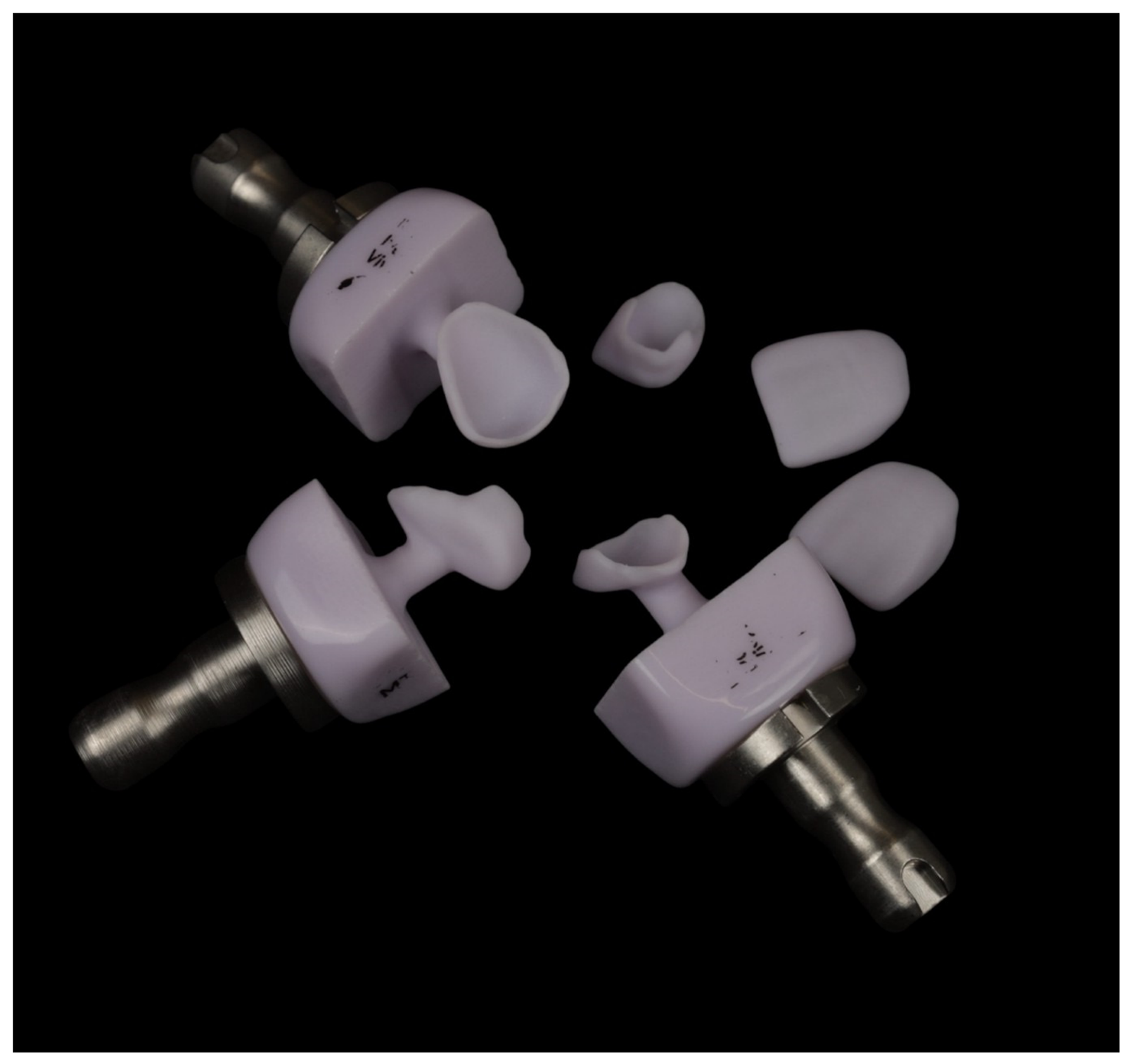 Prosthesis 08 00045 g009