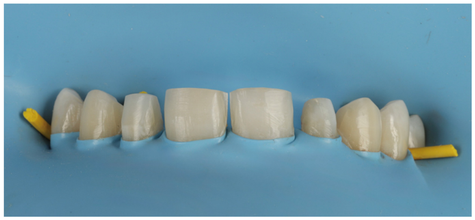 Prosthesis 08 00045 g011