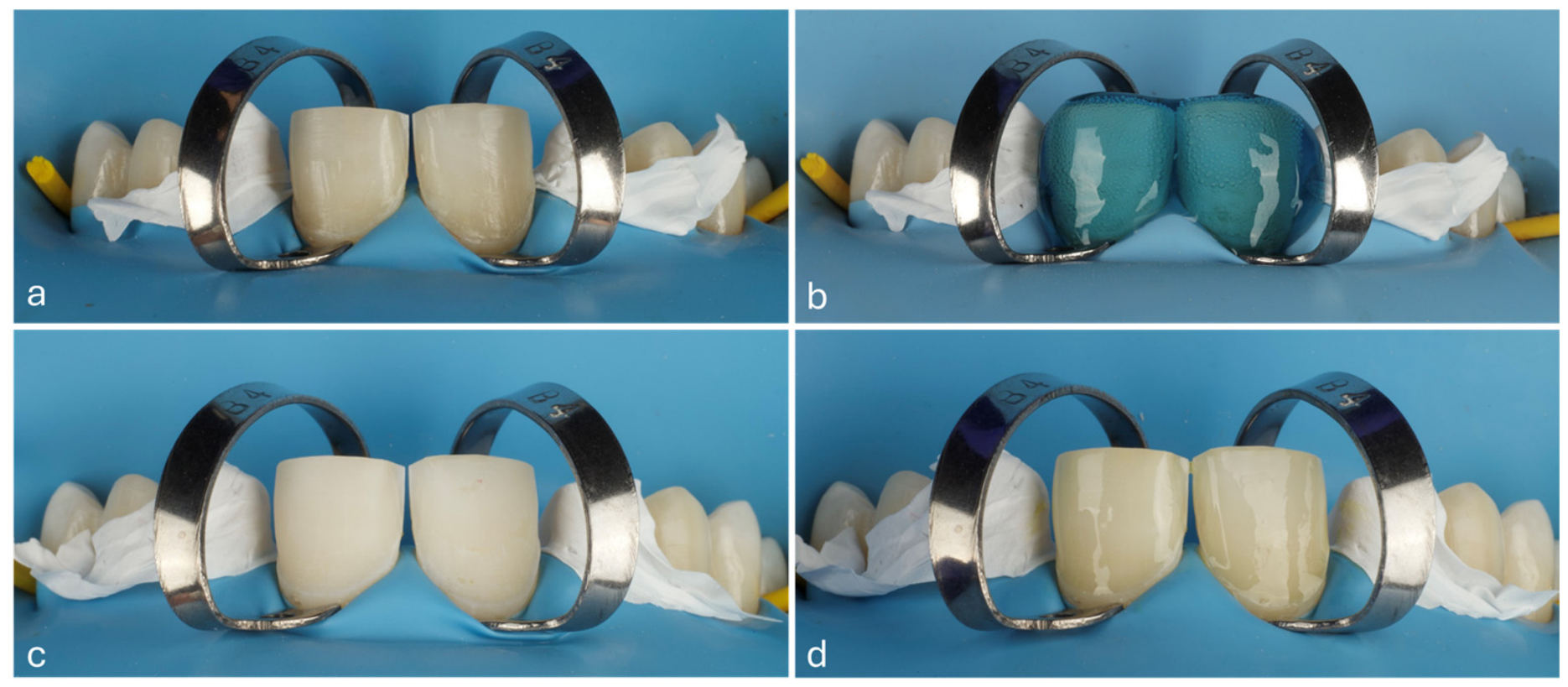 Prosthesis 08 00045 g013