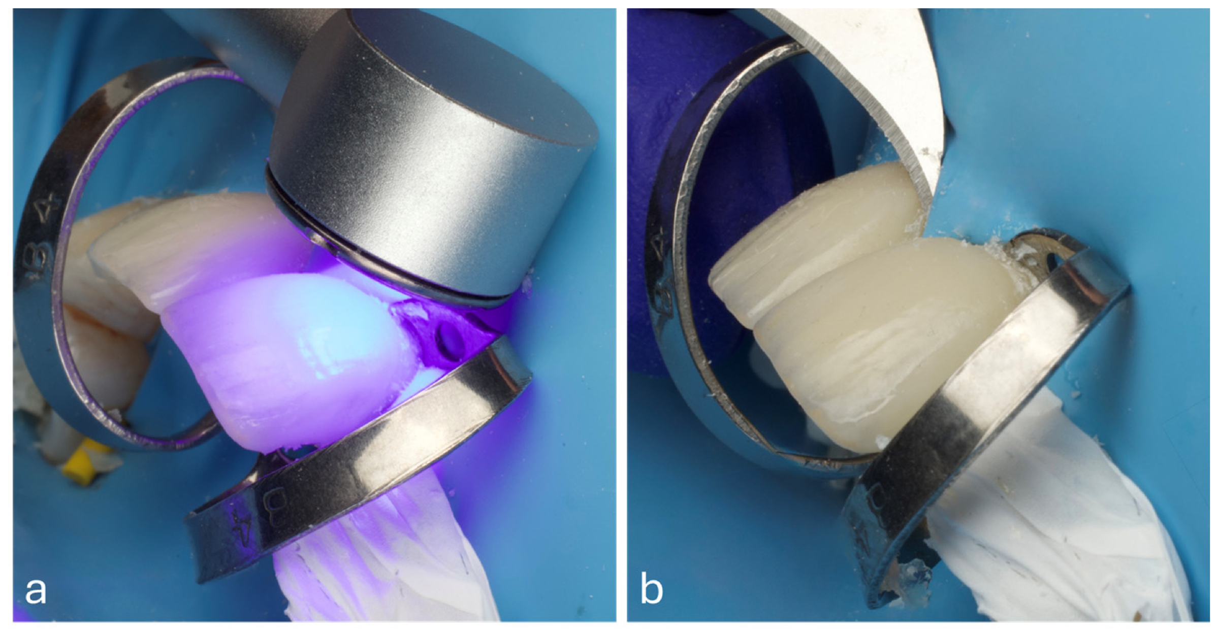 Prosthesis 08 00045 g014