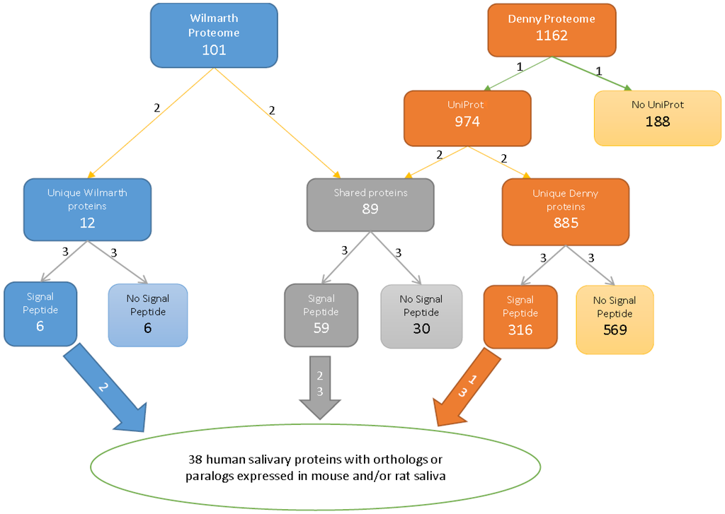 Protein Conversion Chart