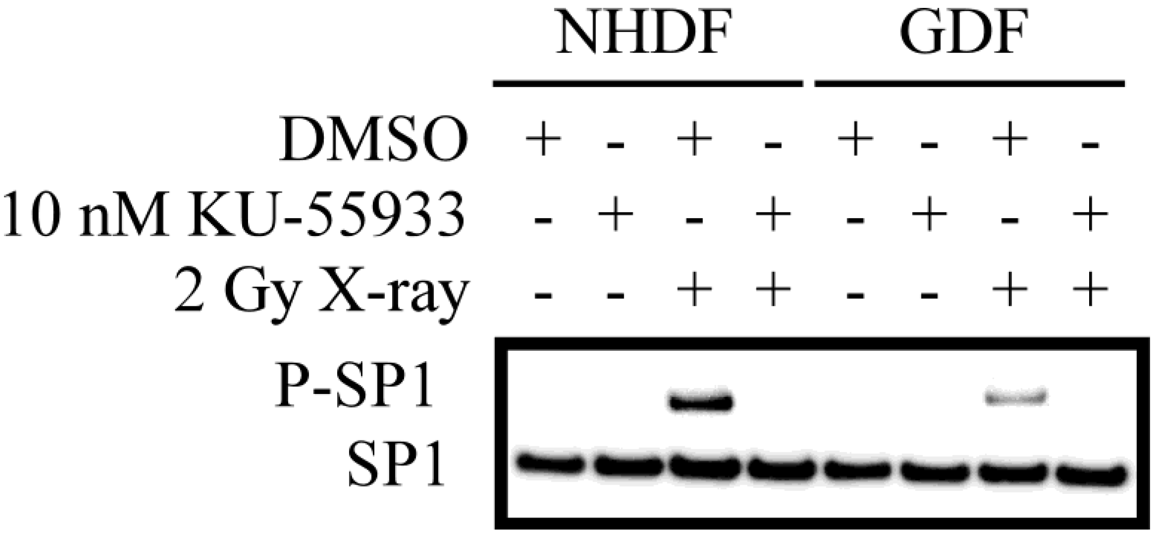 Proteomes 02 00451 g002