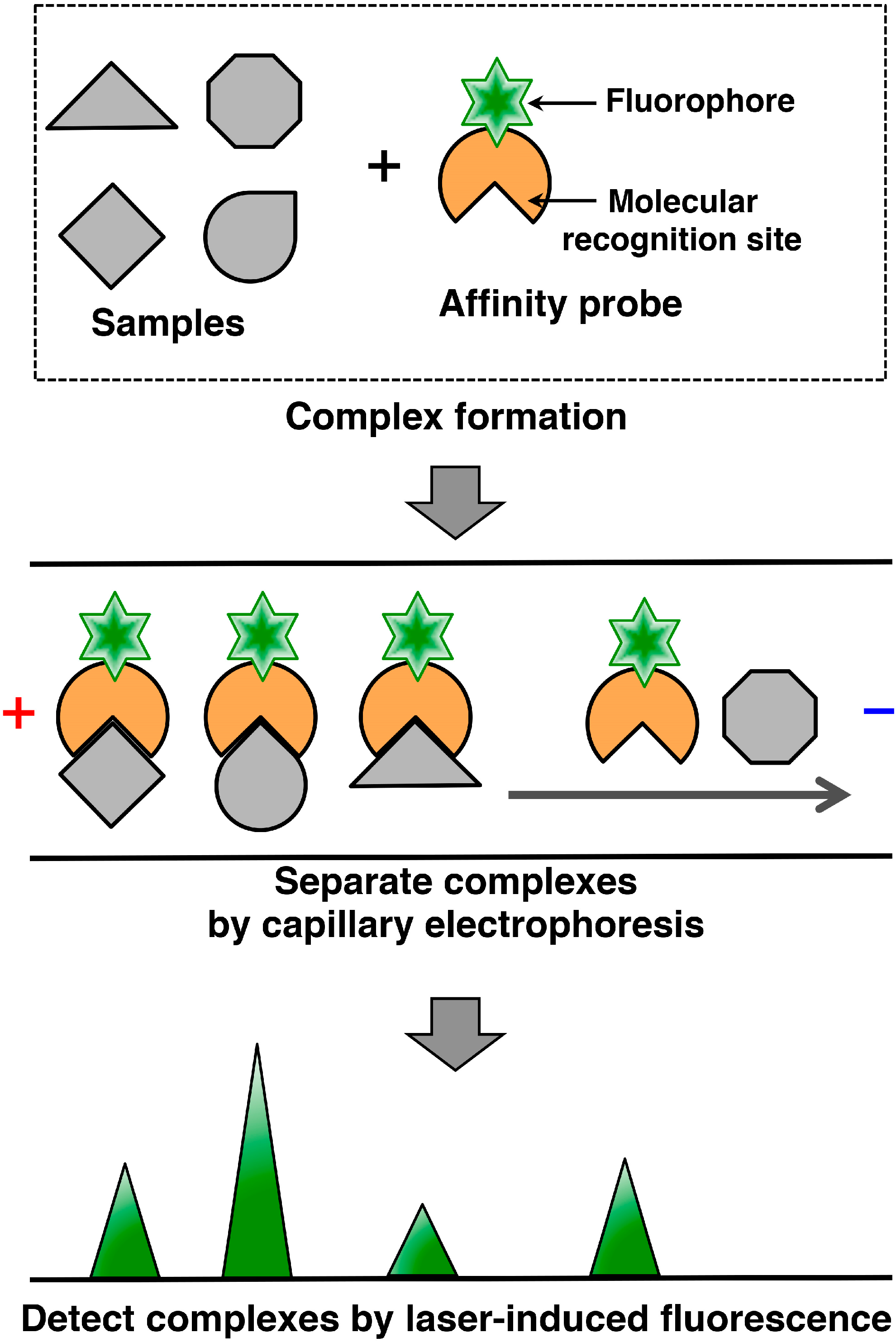 Proteomes 03 00042 g001