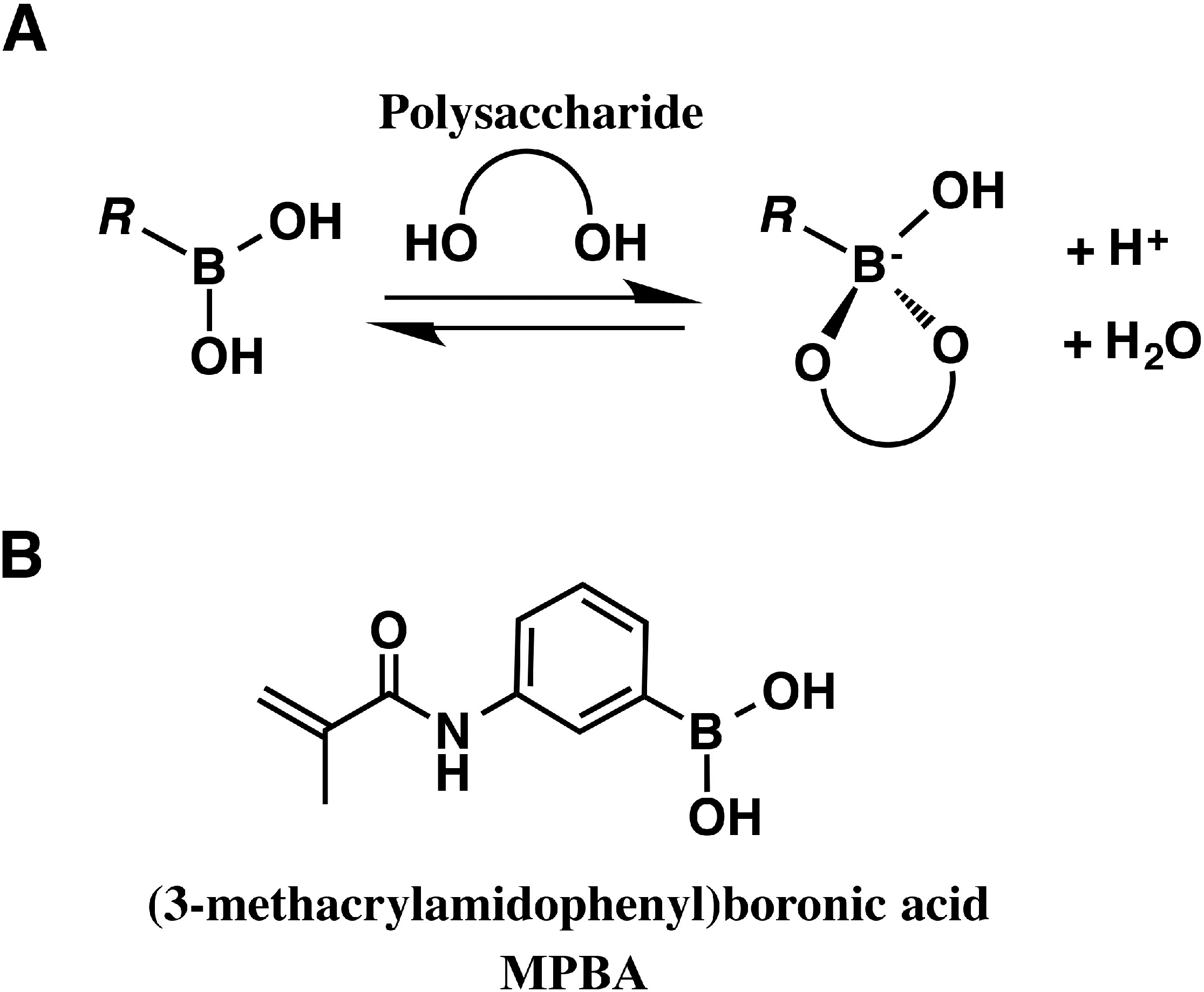 Proteomes 03 00042 g003