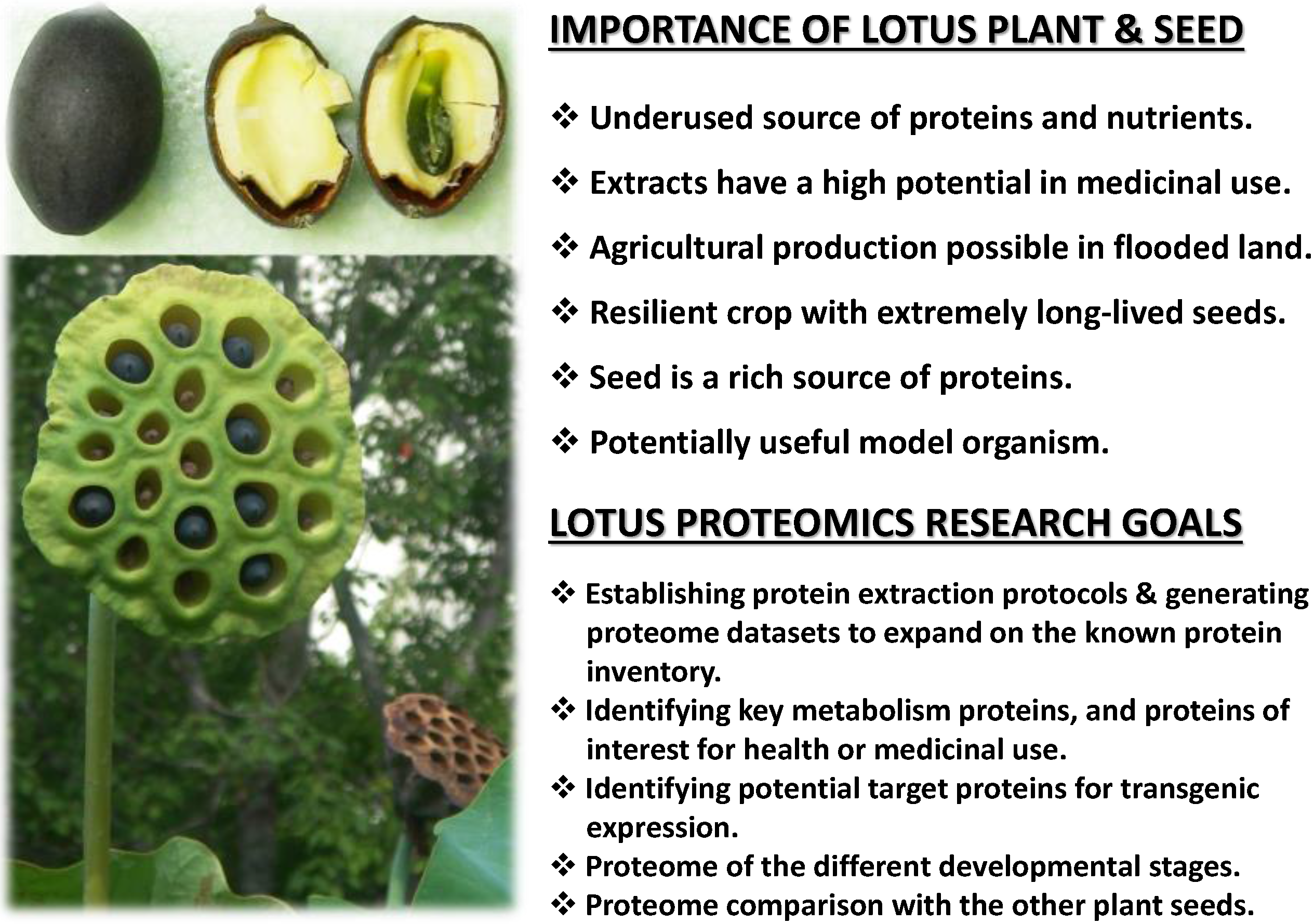 Proteomes 03 00184 g001