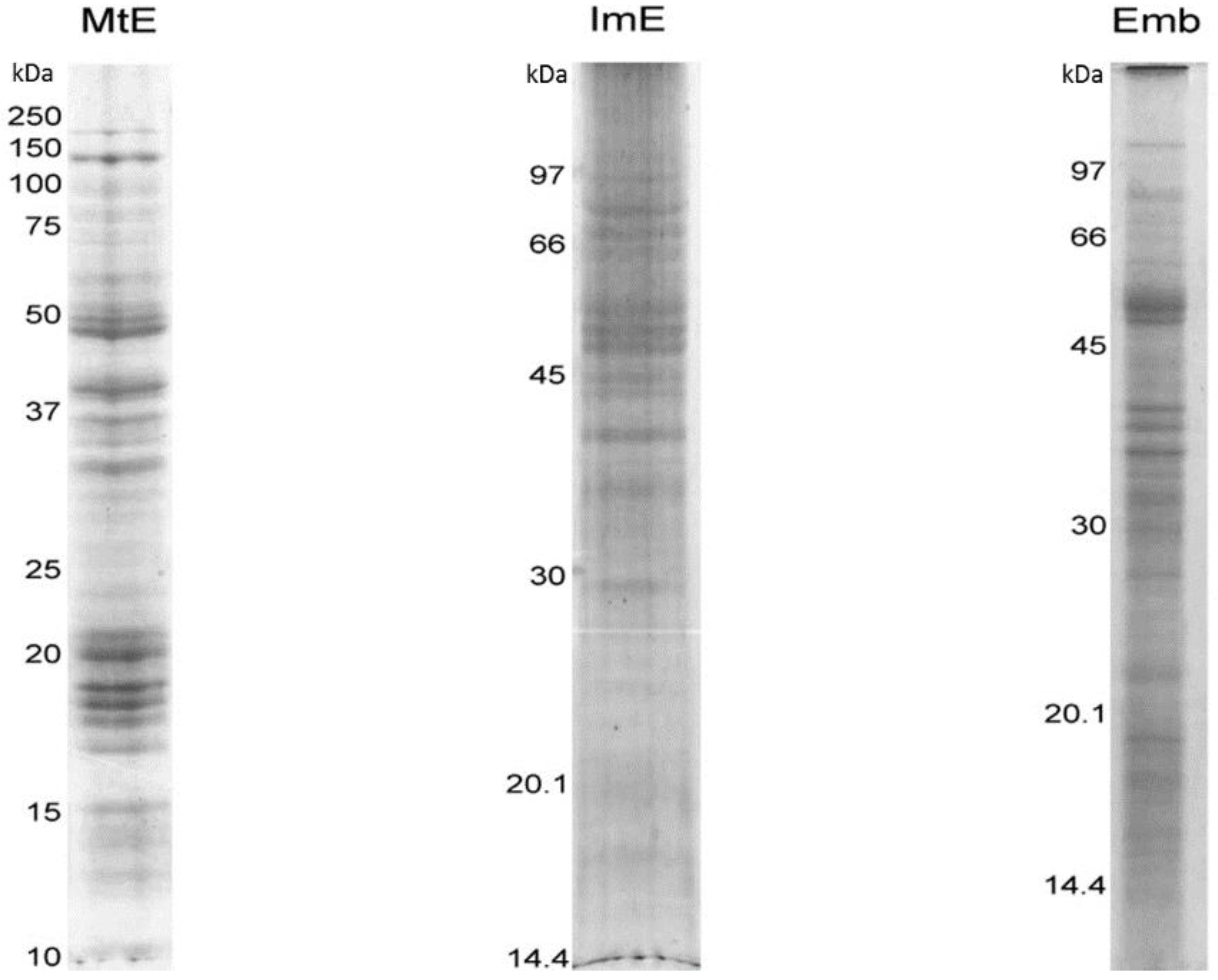 Proteomes 03 00184 g002
