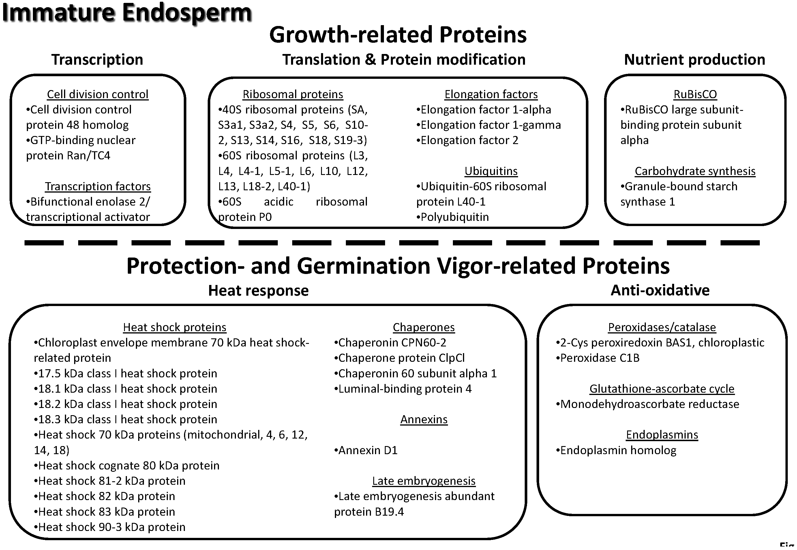 Proteomes 03 00184 g007