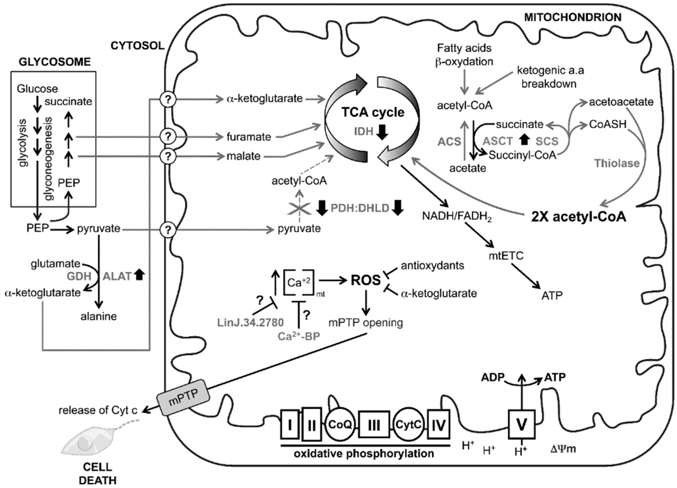 Proteomes 03 00328 g003