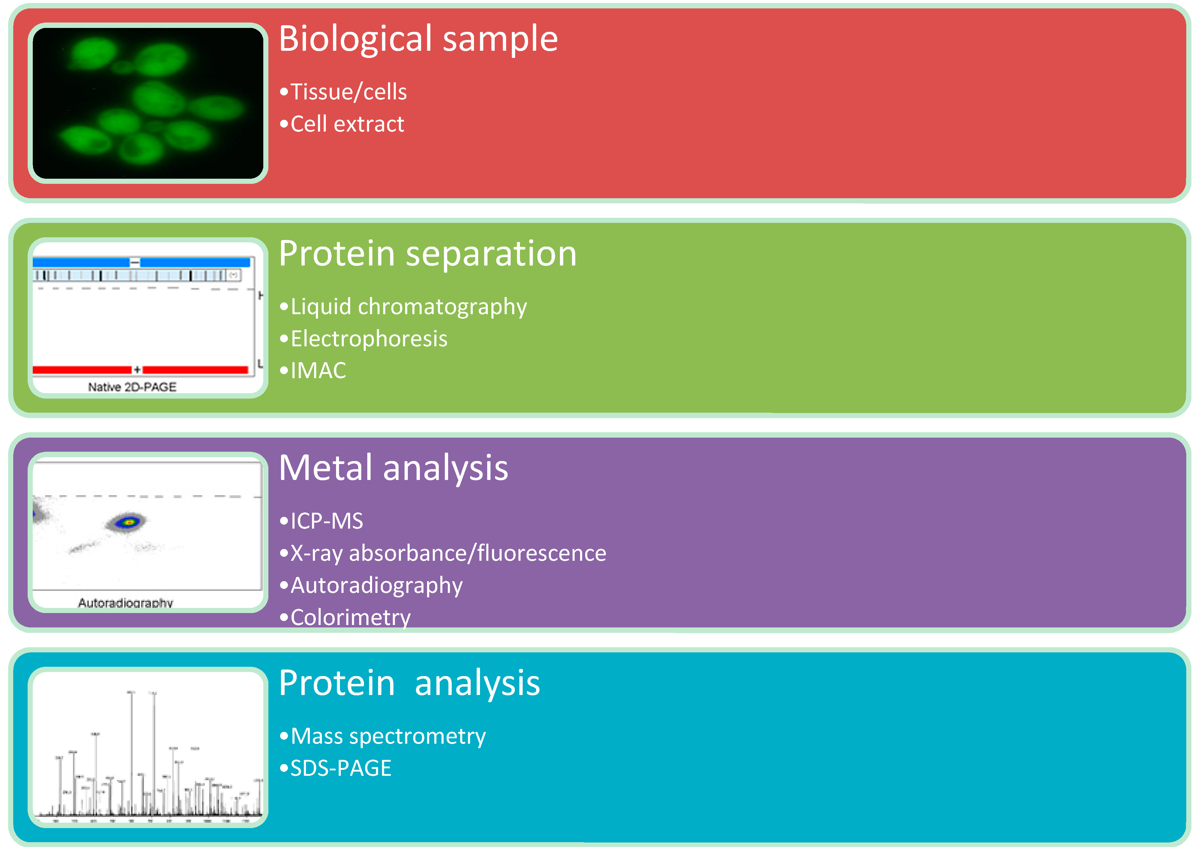 Proteomes 03 00424 g002